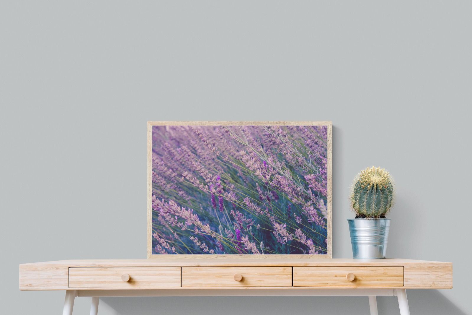 Pixalot Fields of Lavender