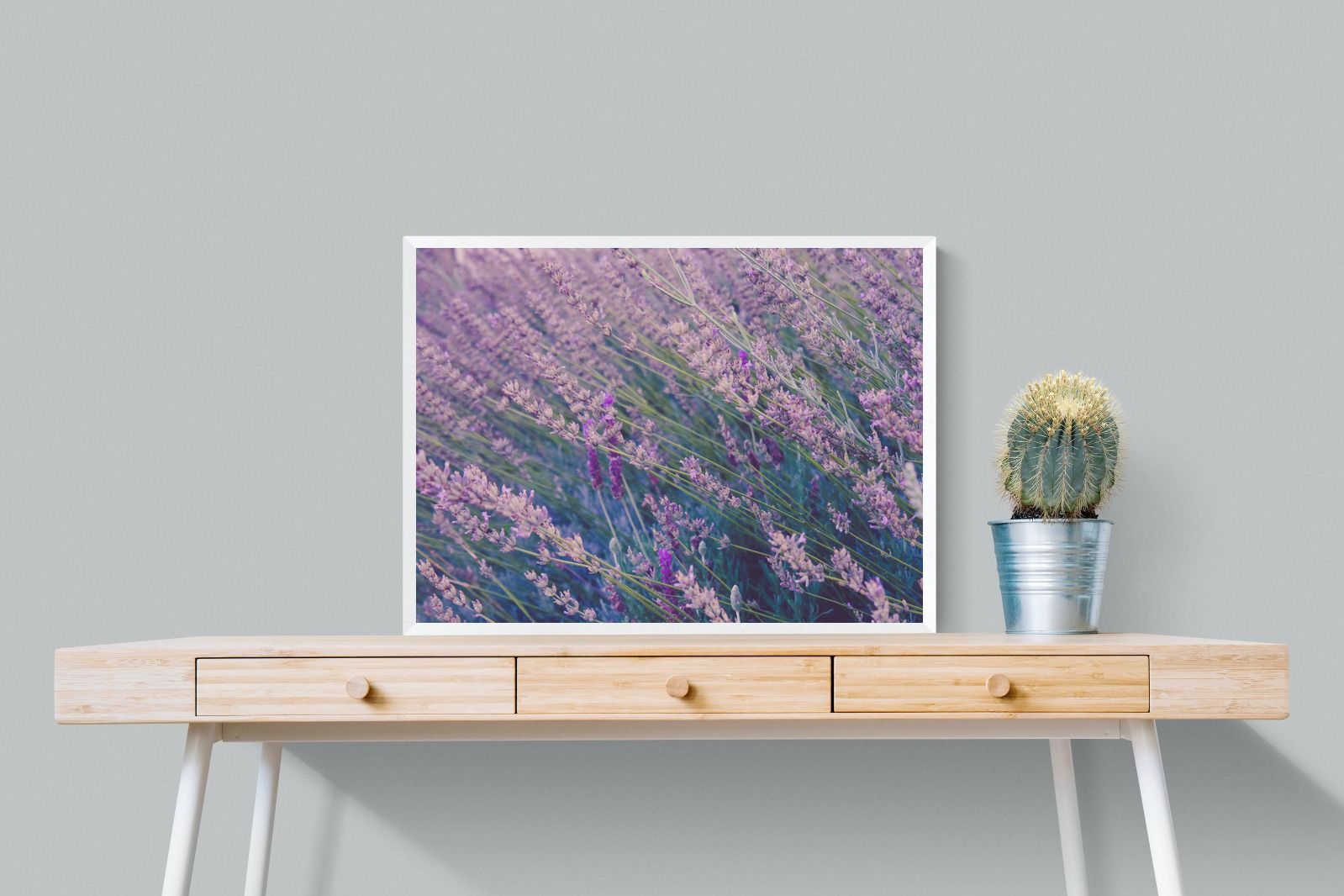 Pixalot Fields of Lavender