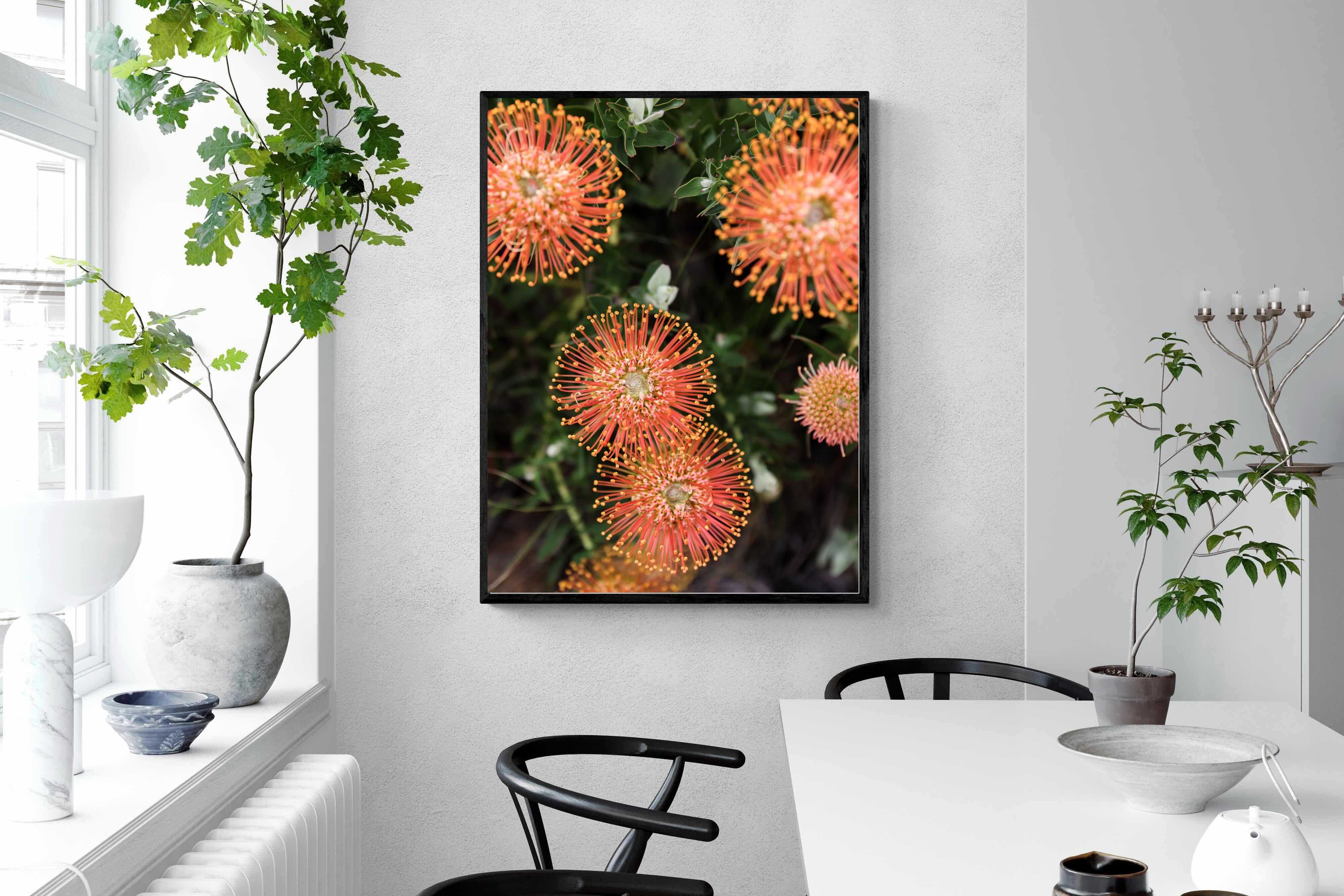 Pixalot Flame Flowers