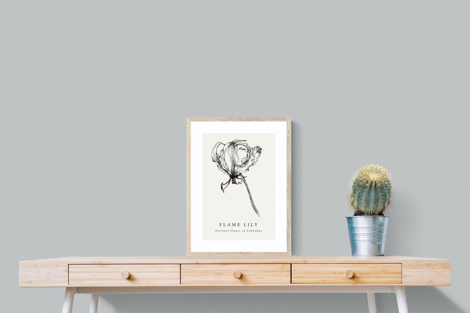 Pixalot ® Flame Lily Illustration