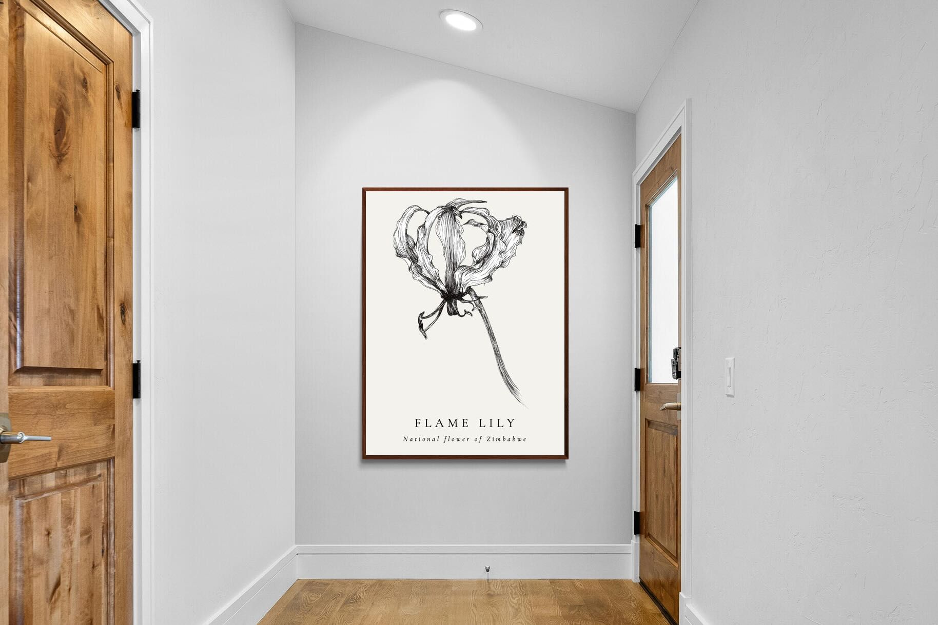 Pixalot ® Flame Lily Illustration
