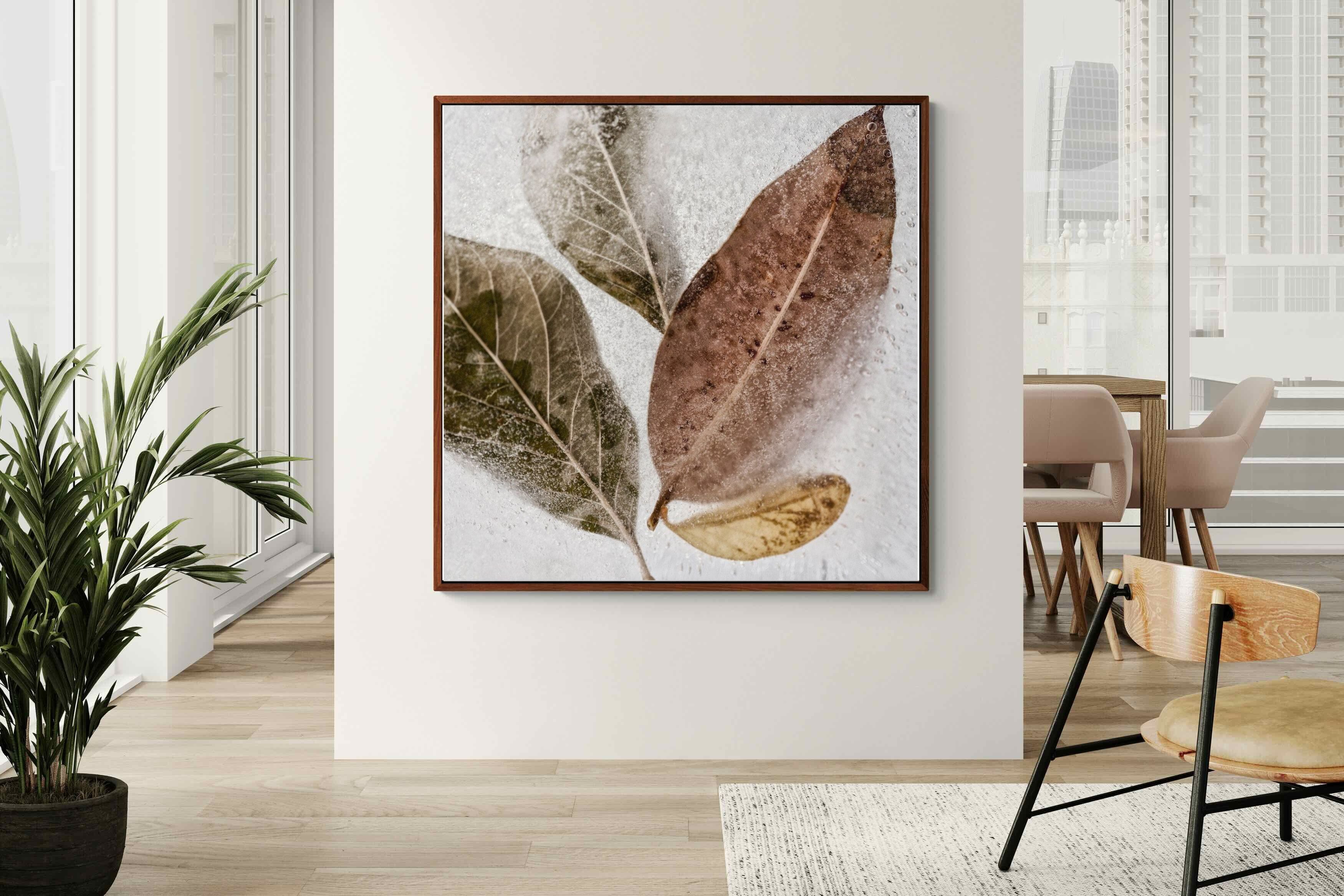 Pixalot Frozen Leaves