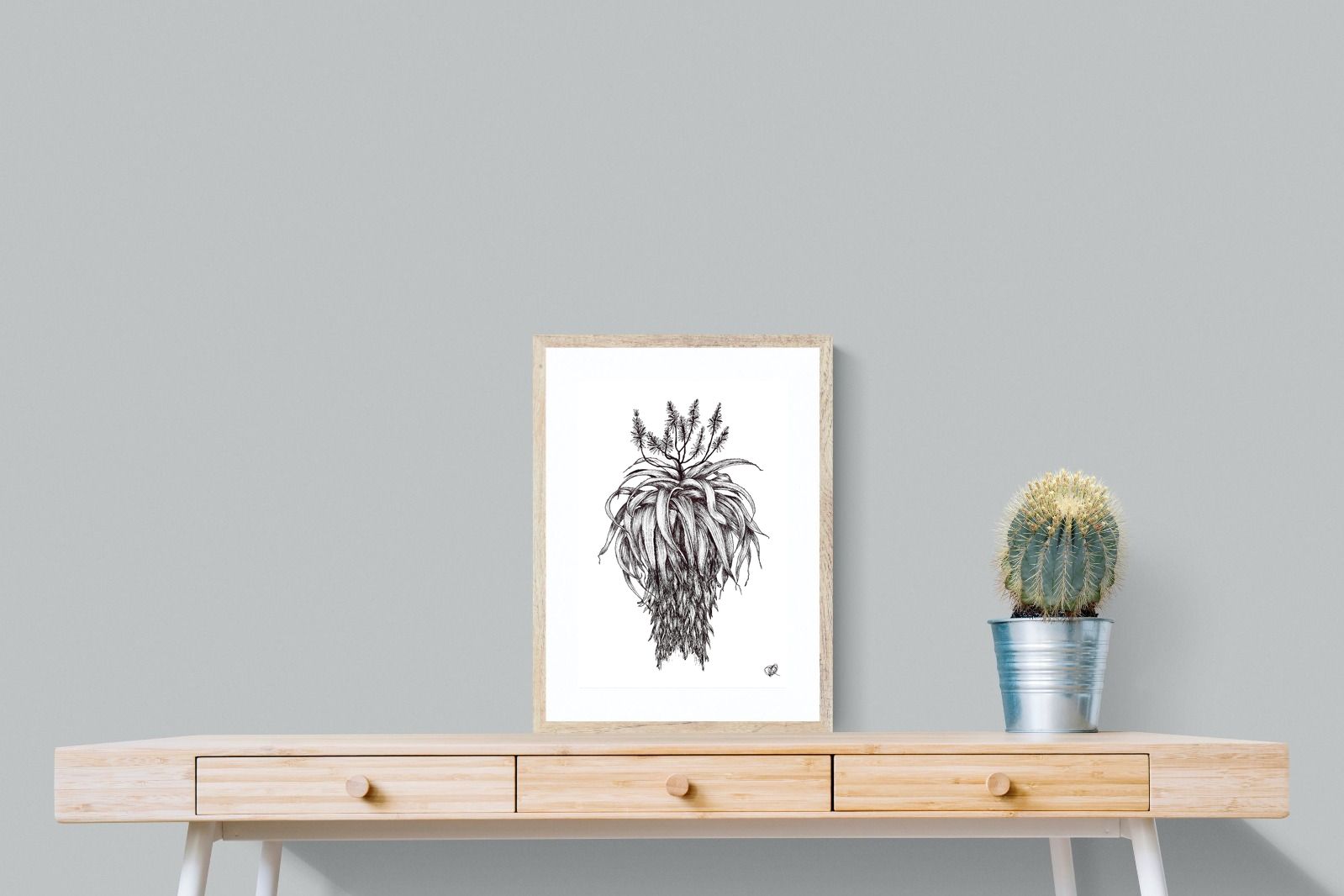 Pixalot Full Flowering Aloe Illustration