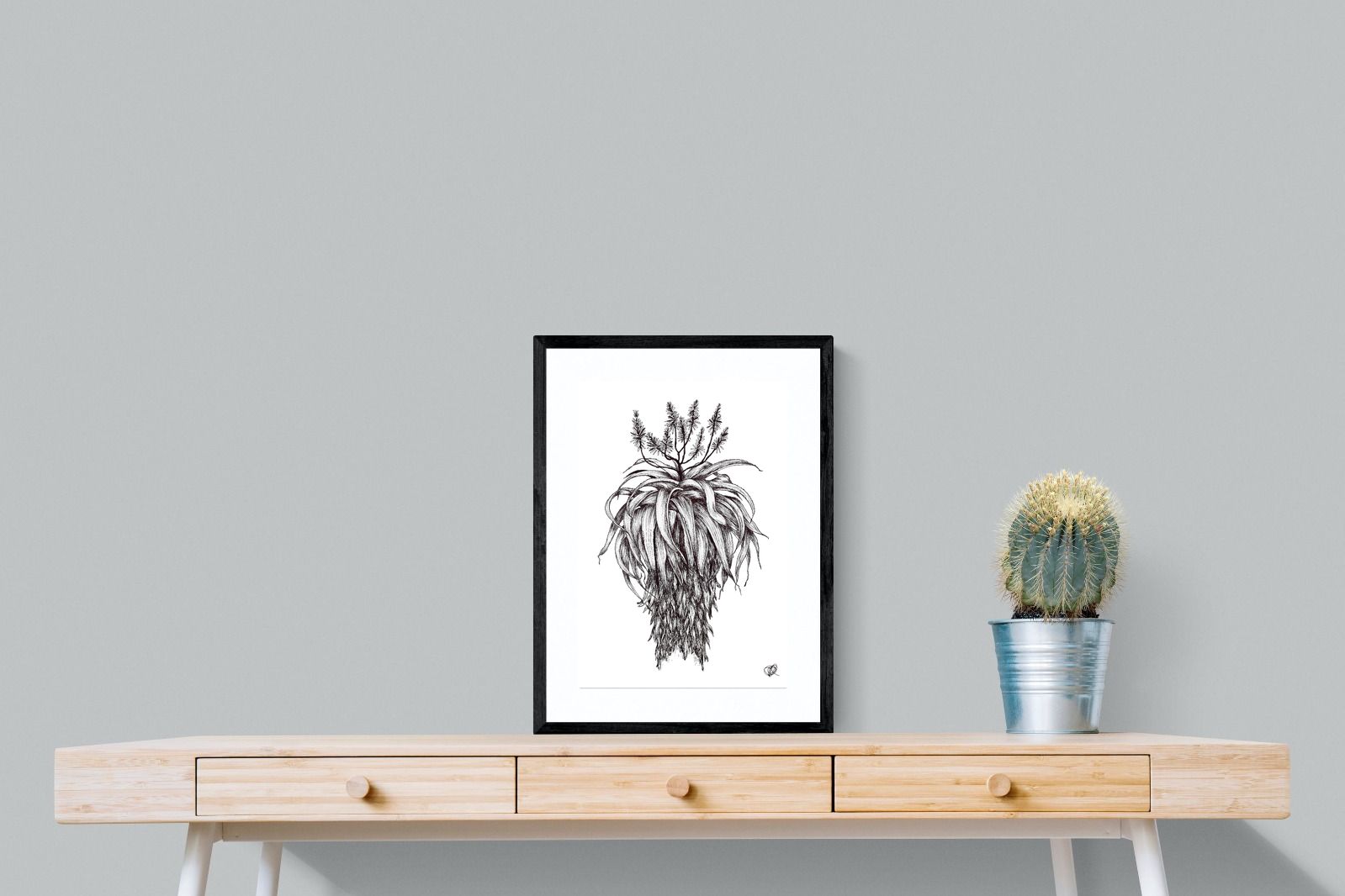 Pixalot Full Flowering Aloe Illustration