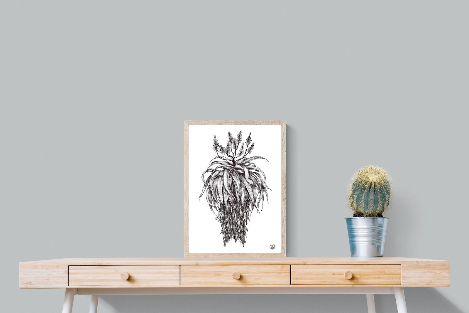 Pixalot Full Flowering Aloe Illustration