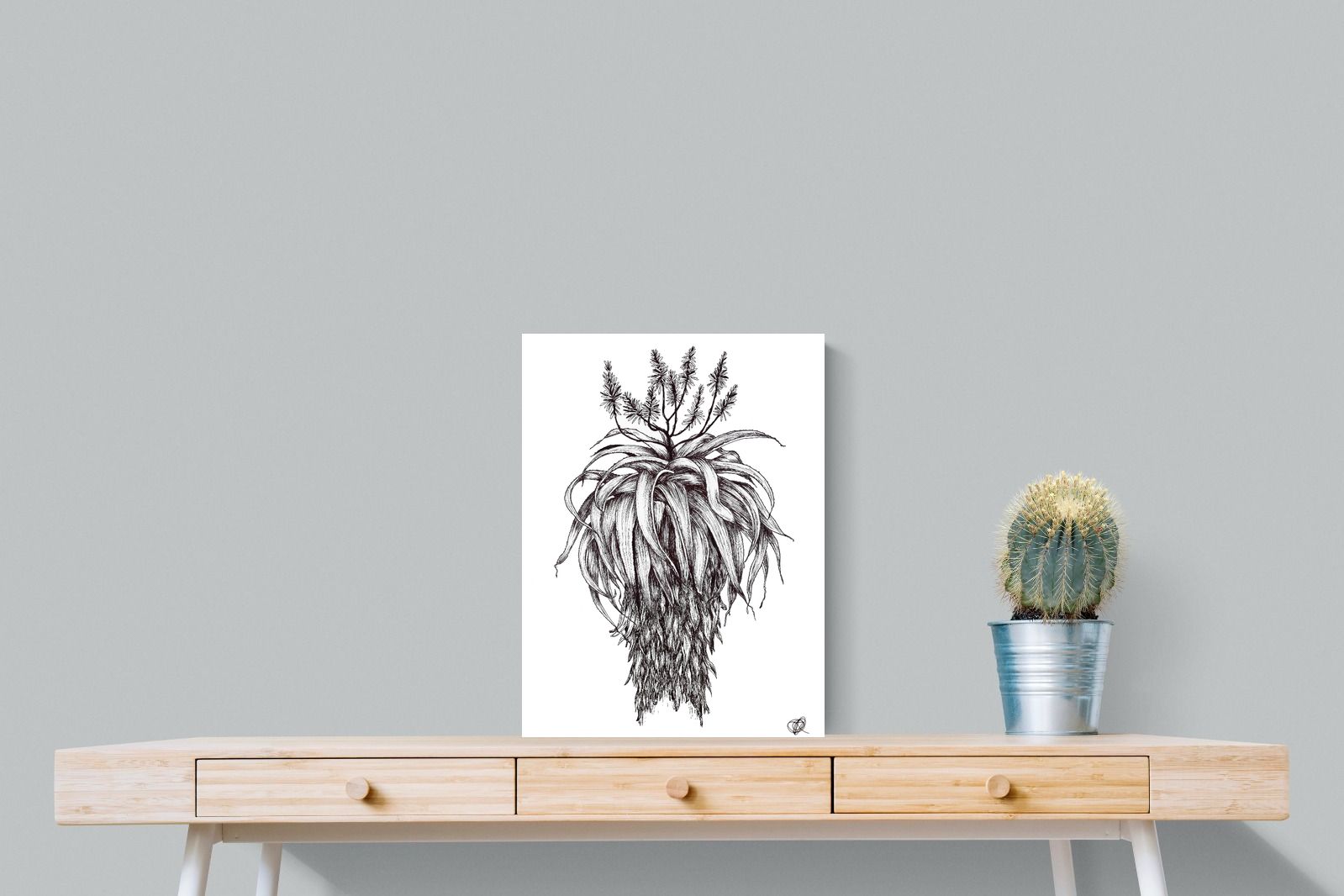 Pixalot Full Flowering Aloe Illustration