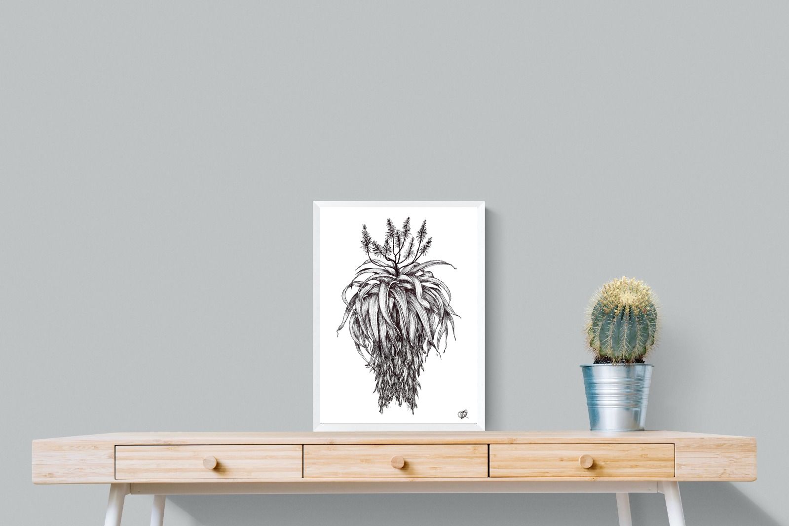 Pixalot Full Flowering Aloe Illustration
