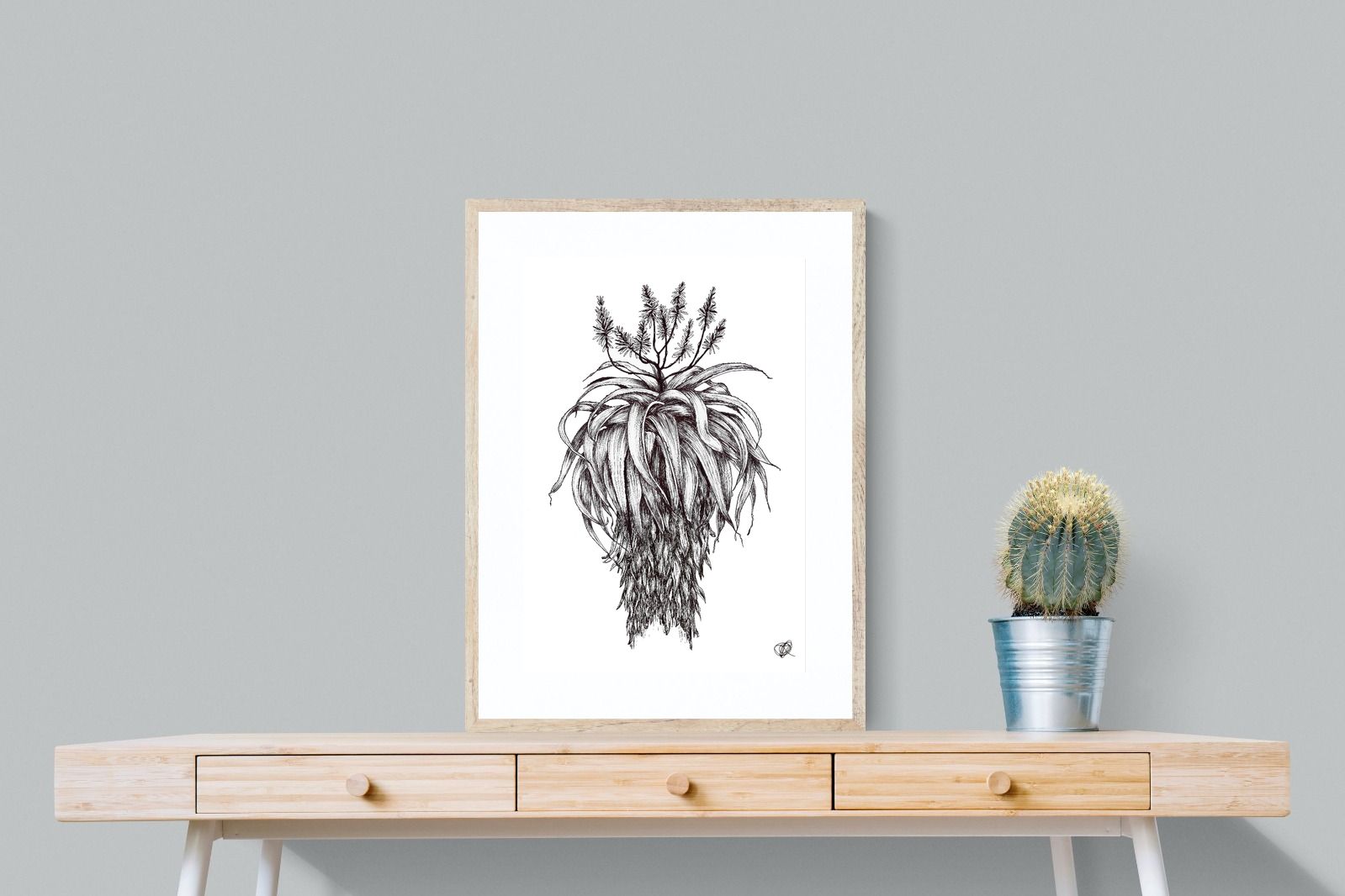 Pixalot Full Flowering Aloe Illustration