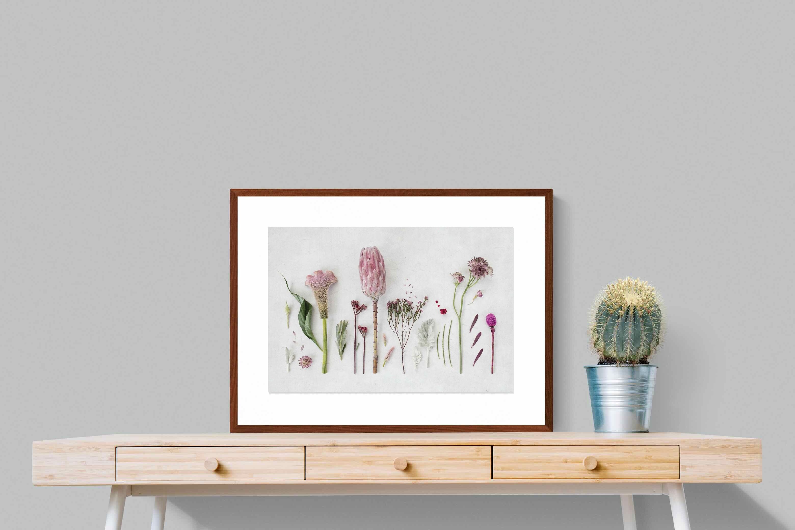 Pixalot Fynbos Garden