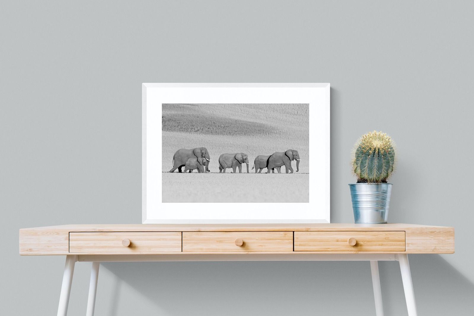 Pixalot ® Gentle Procession