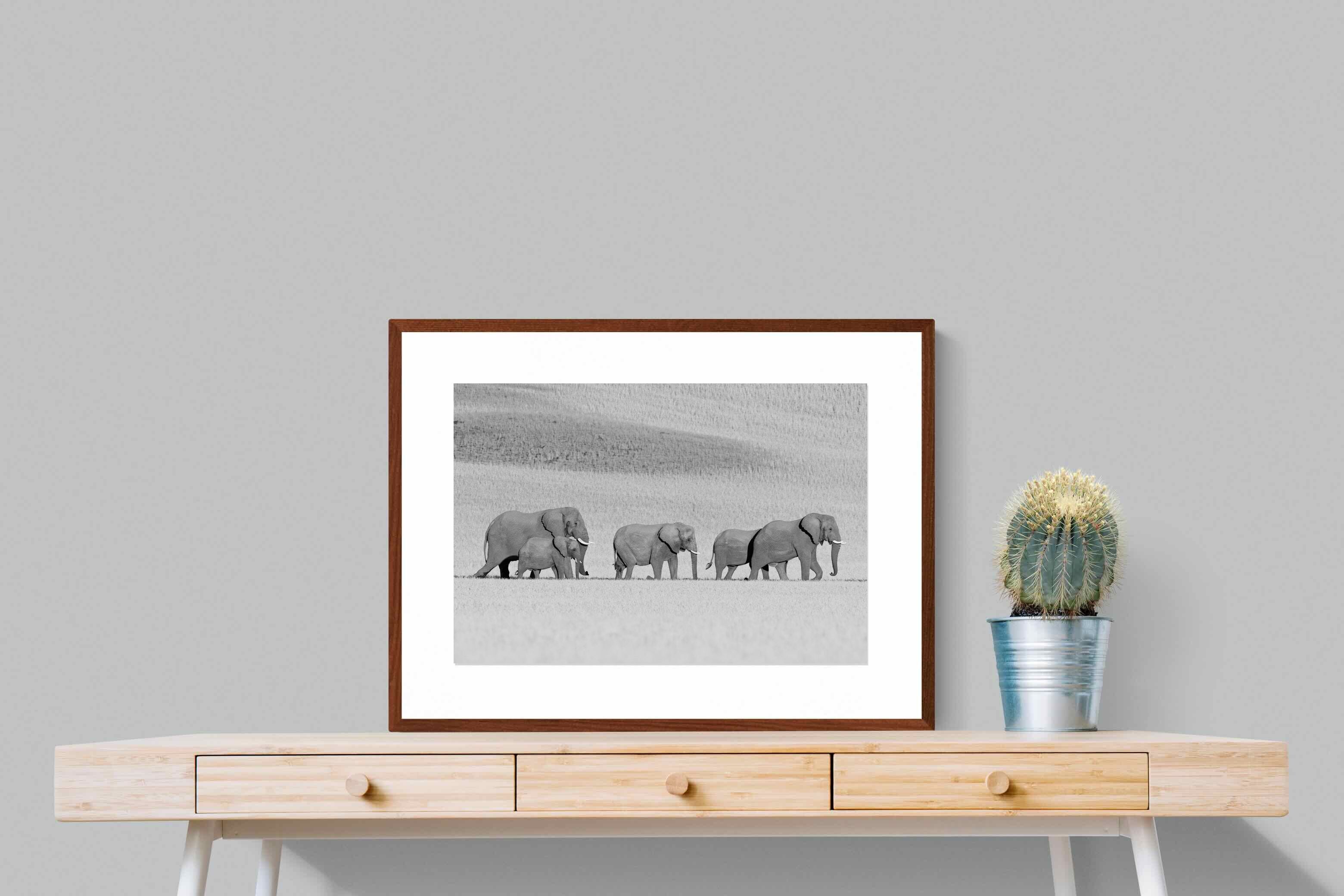 Pixalot ® Gentle Procession