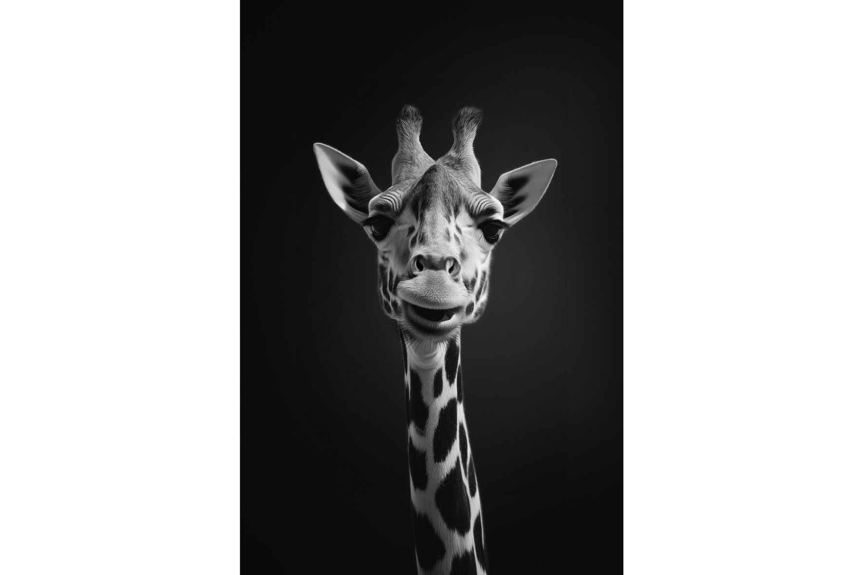 Giraffe Portrait