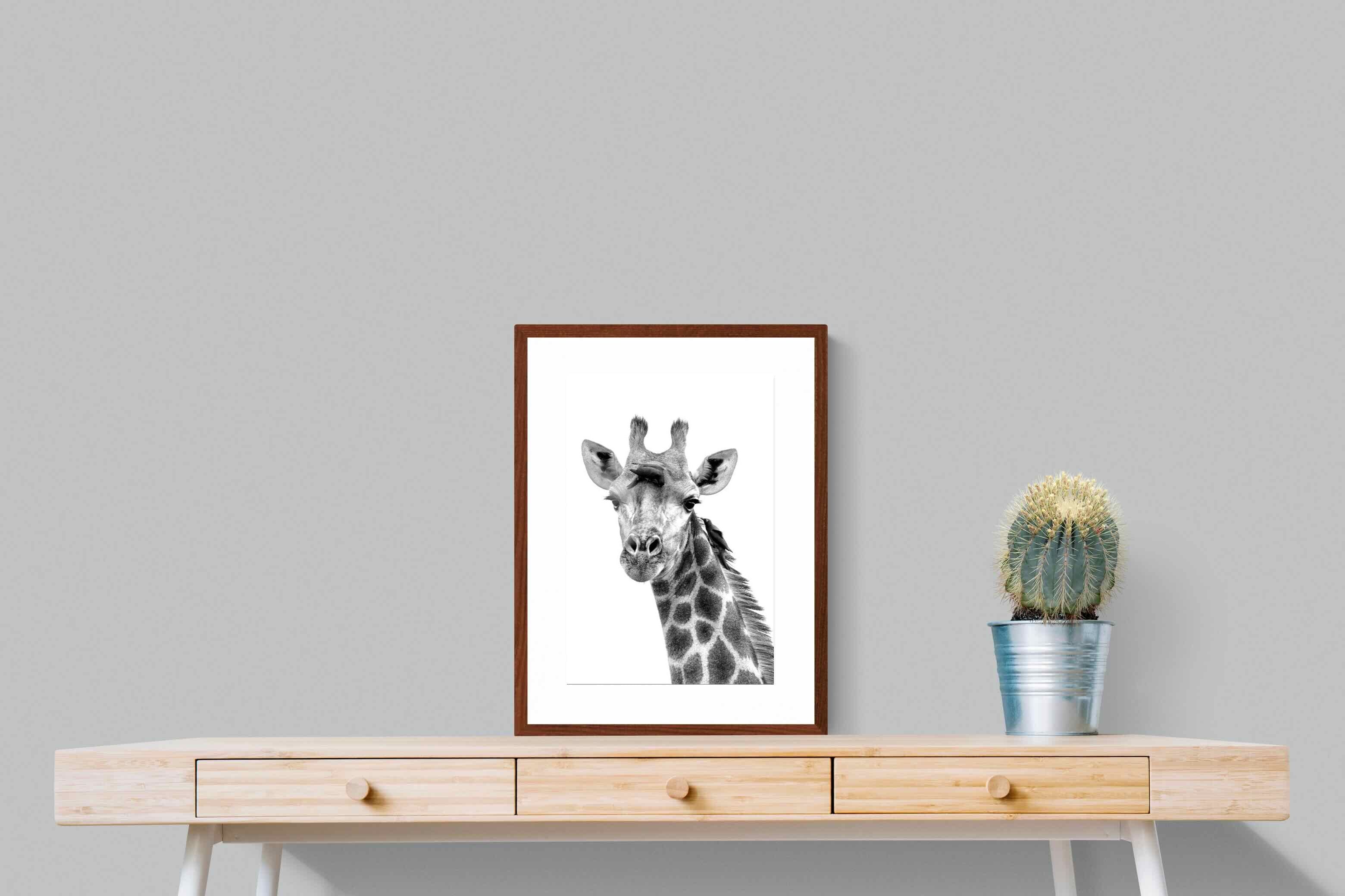 Pixalot ® Giraffe Spa