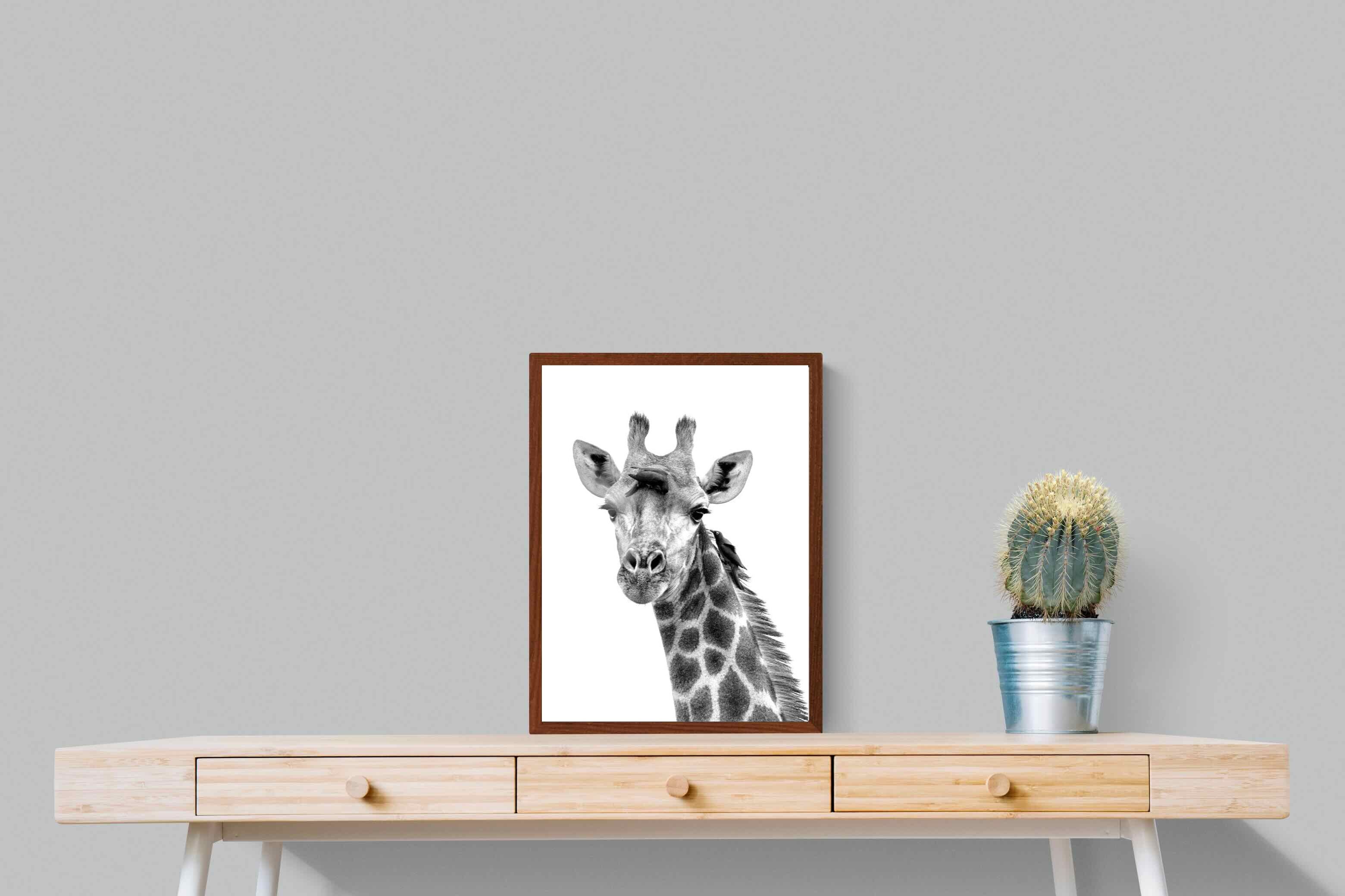 Pixalot ® Giraffe Spa