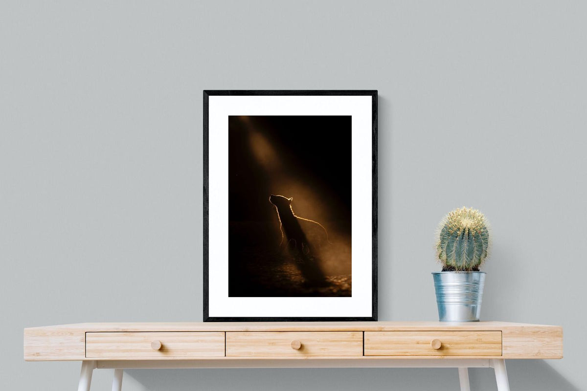 Pixalot ® Golden Hyena