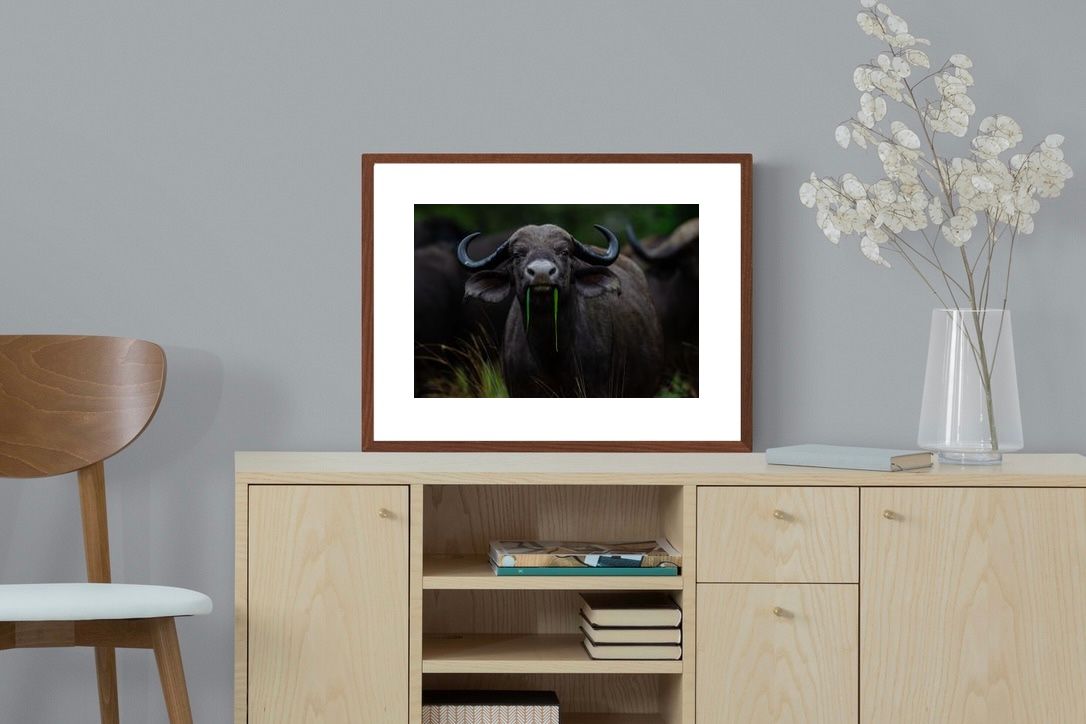 Pixalot Grass Whisperer