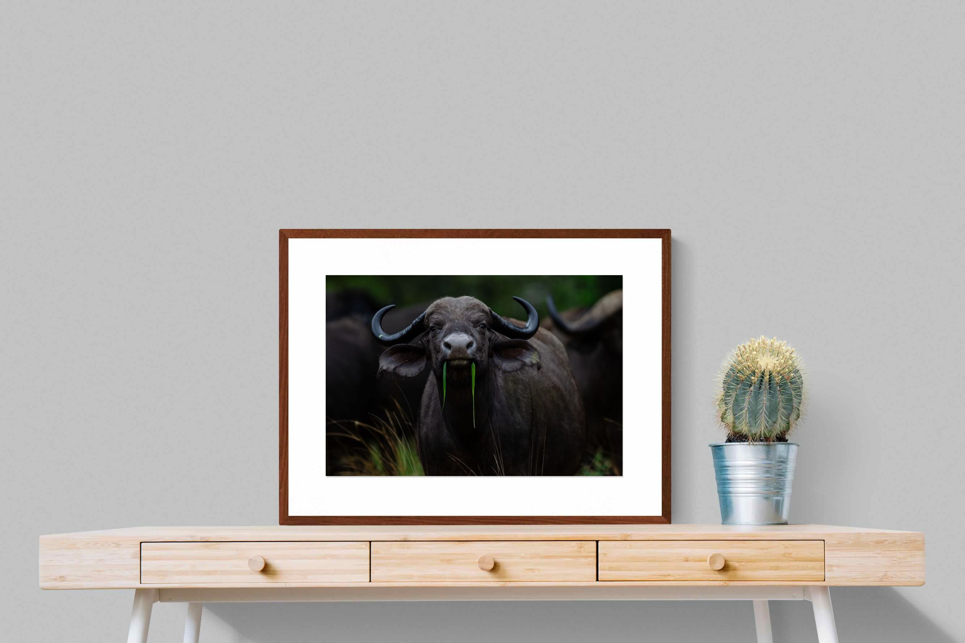 Pixalot Grass Whisperer