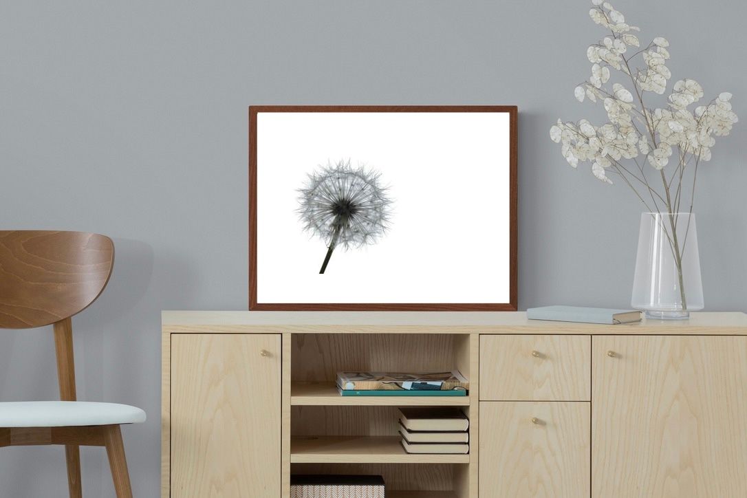 Pixalot ® Grey Dandelion
