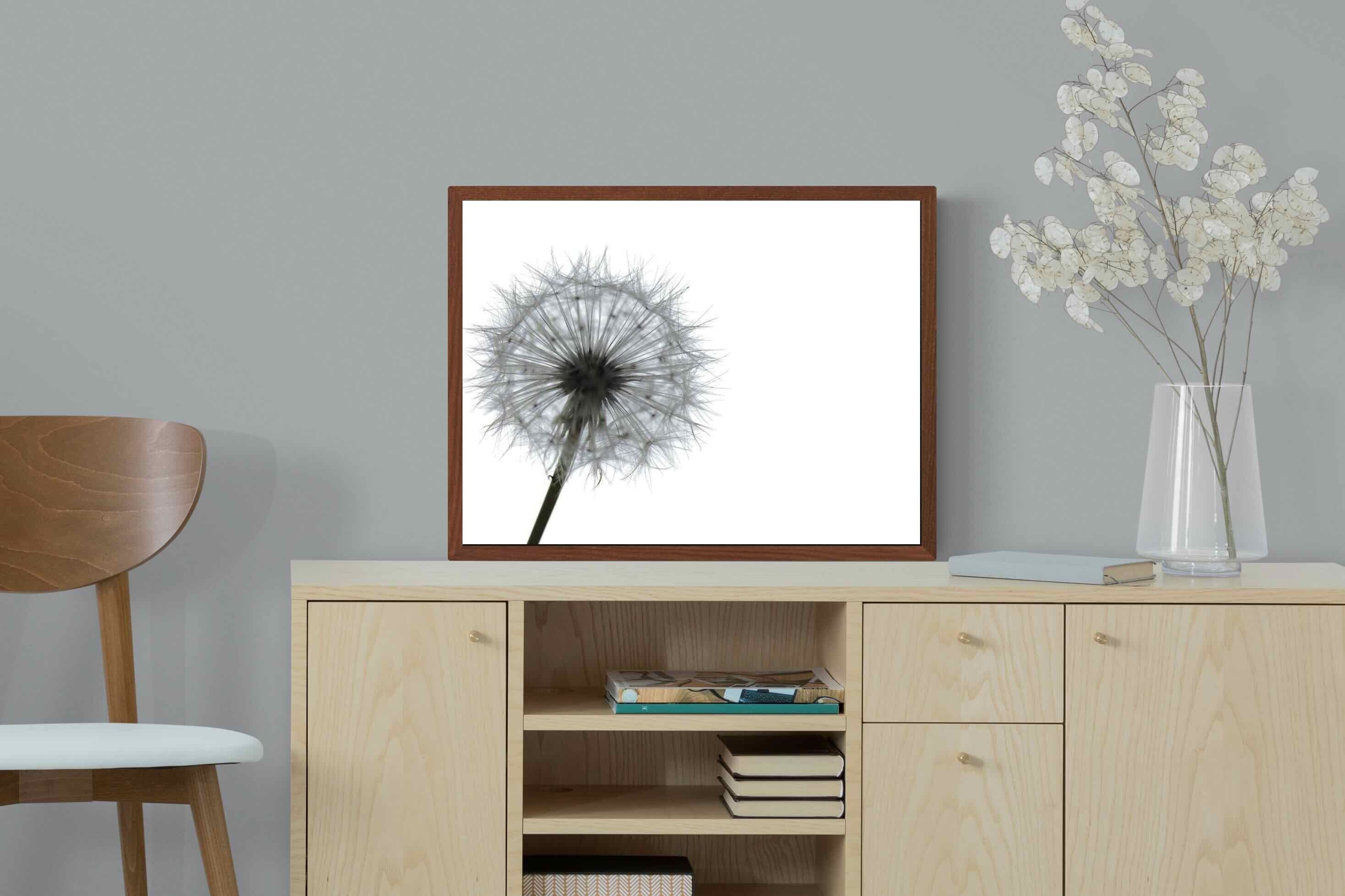 Pixalot ® Grey Dandelion