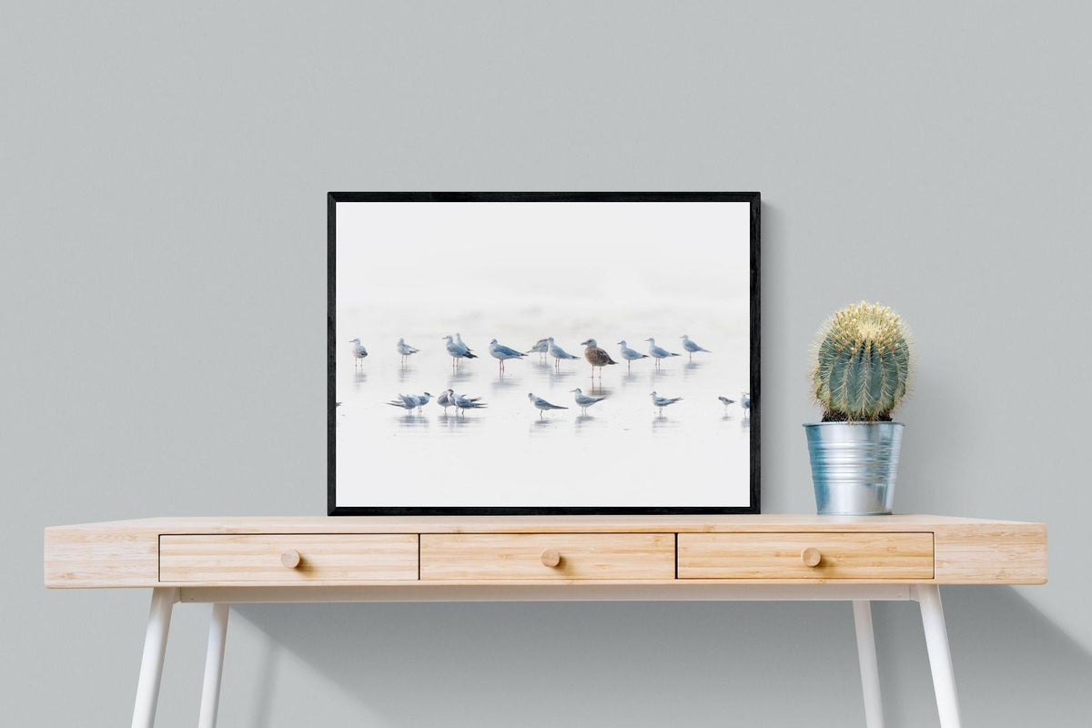 Pixalot ® Gull Gathering