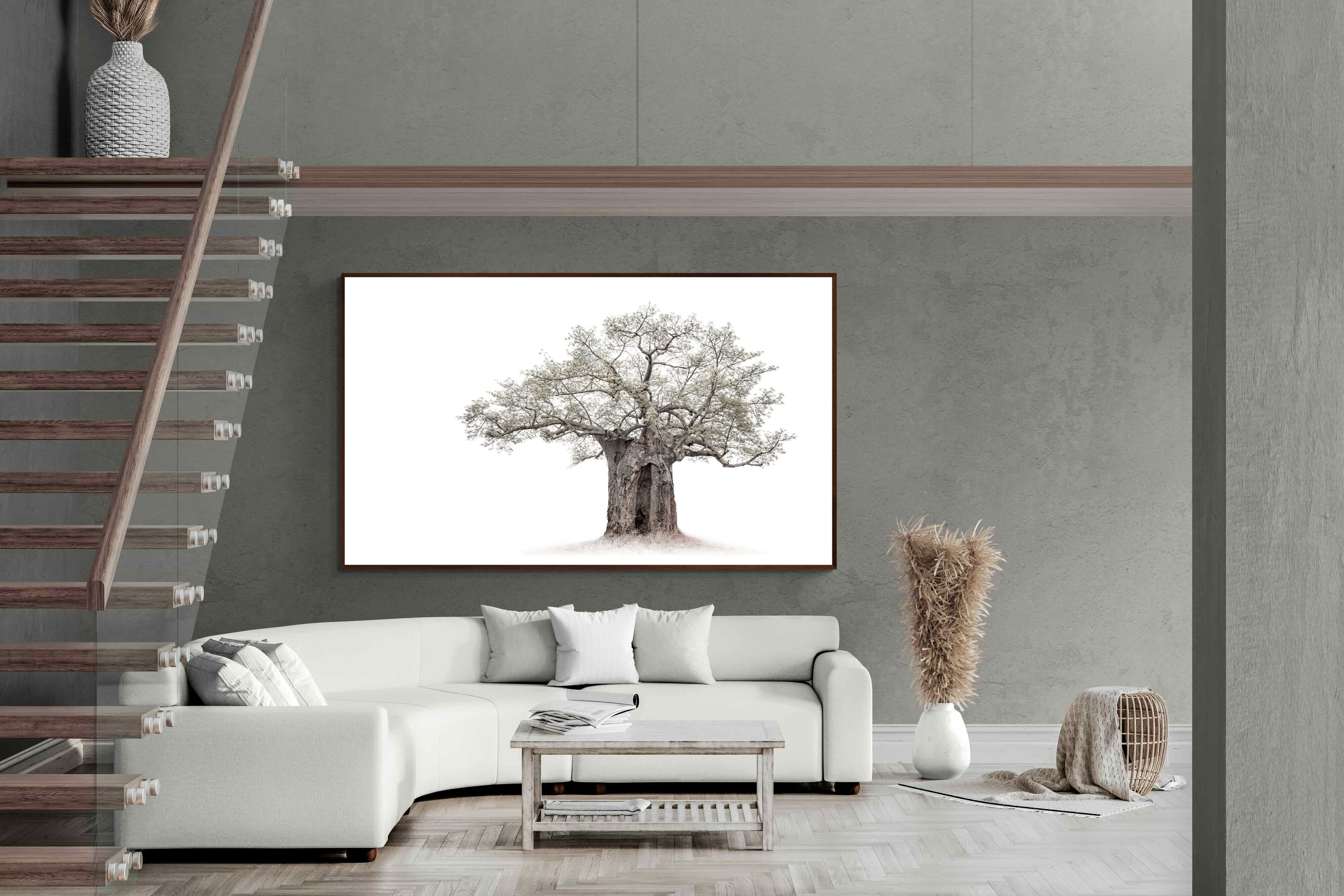 Pixalot High Key Baobab