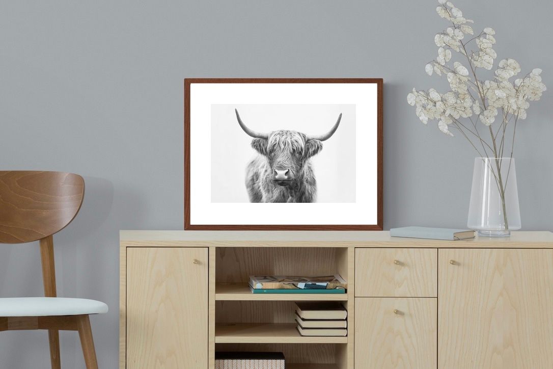Pixalot Highland Bull