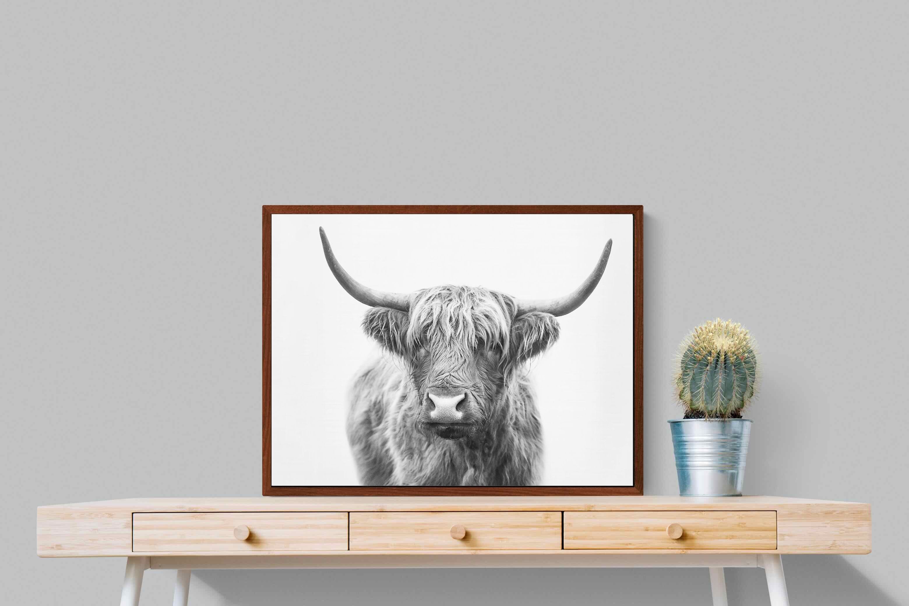 Pixalot Highland Bull