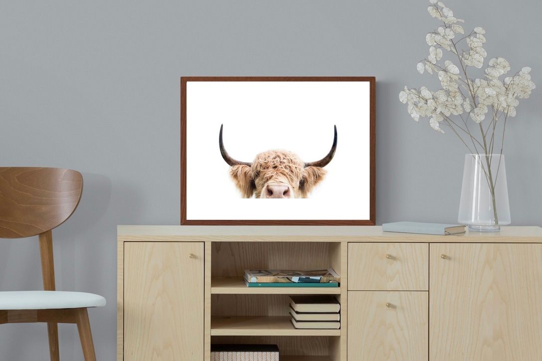 Pixalot Highland Peekaboo
