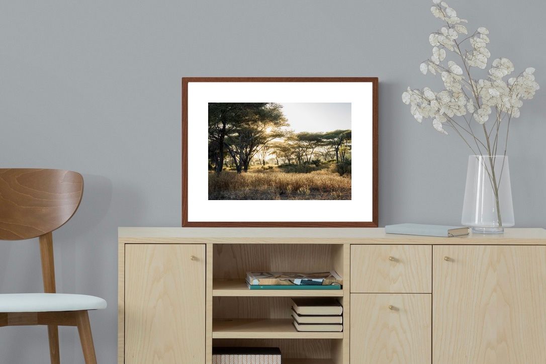 Pixalot Hippo Valley