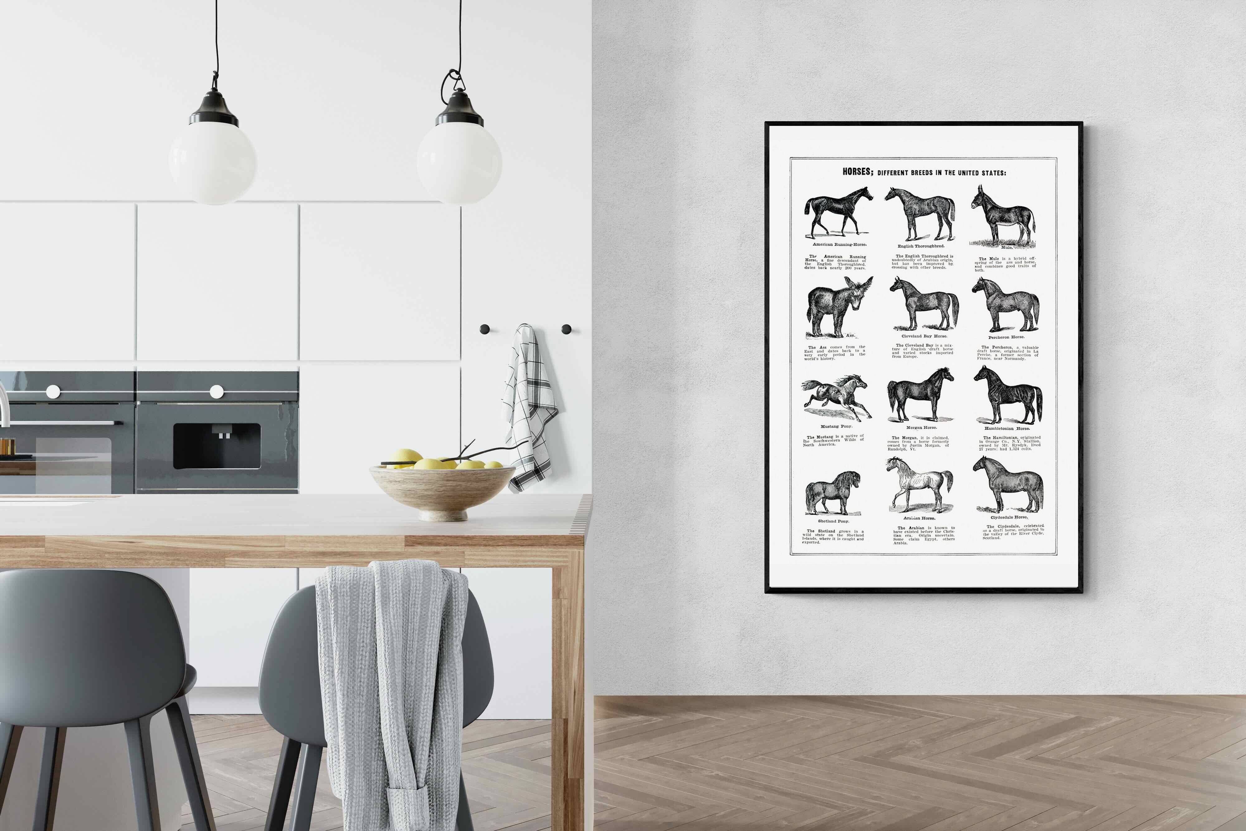 Pixalot Horse Breeds