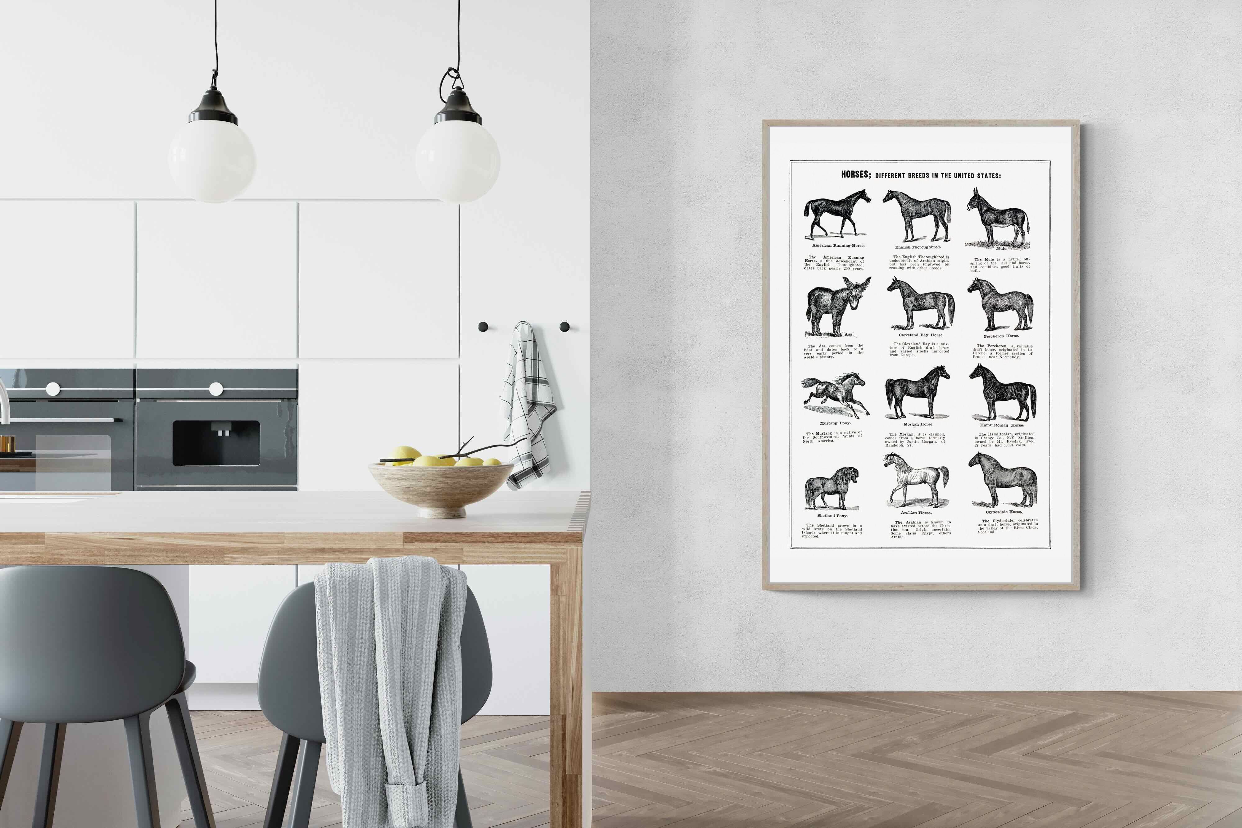 Pixalot Horse Breeds