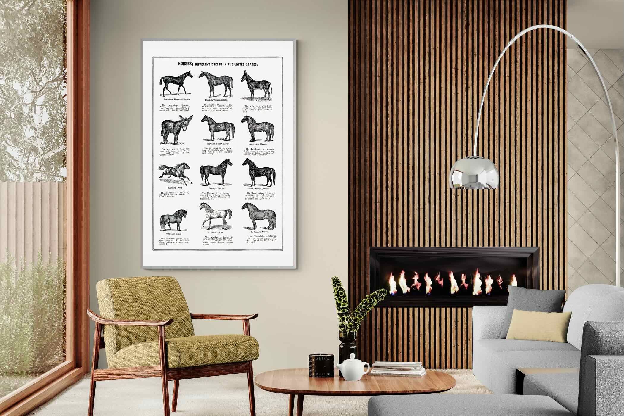 Pixalot Horse Breeds