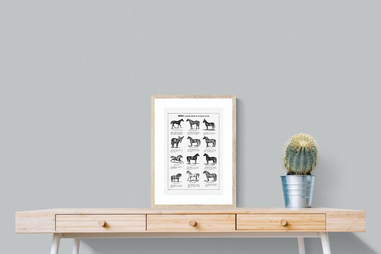 Pixalot Horse Breeds