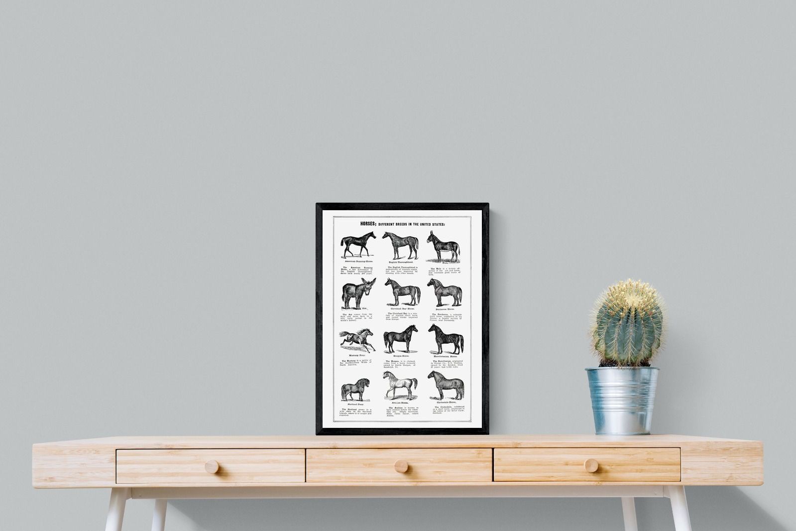 Pixalot Horse Breeds