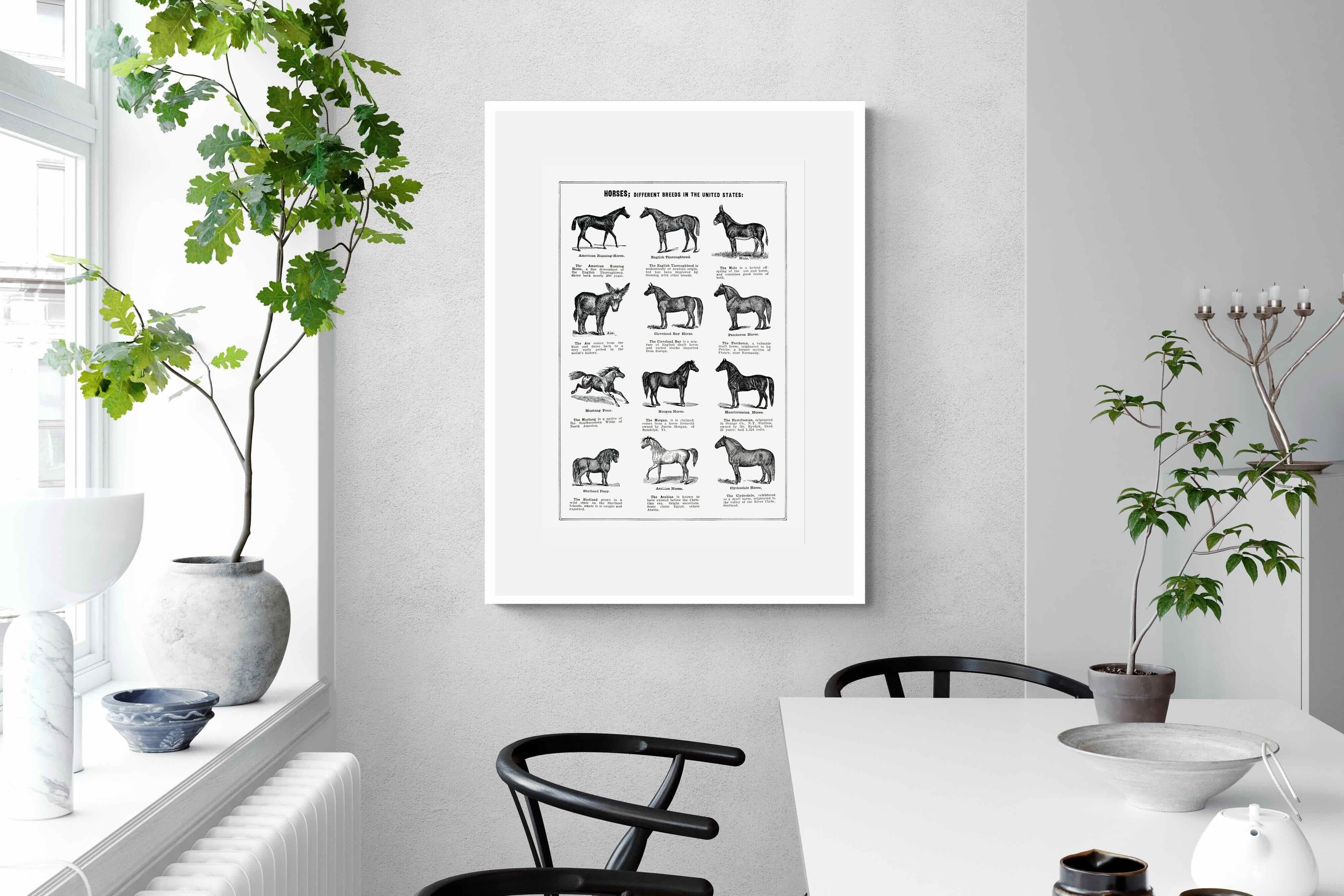 Pixalot Horse Breeds