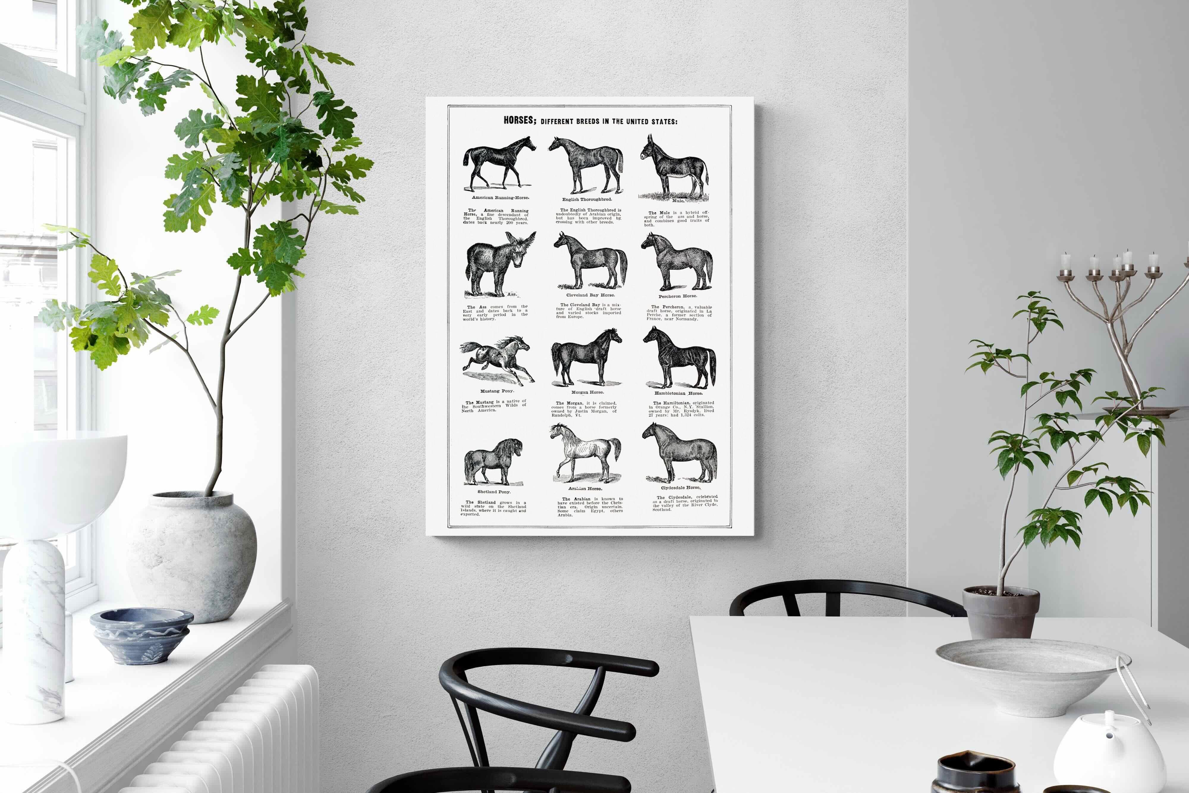 Pixalot Horse Breeds