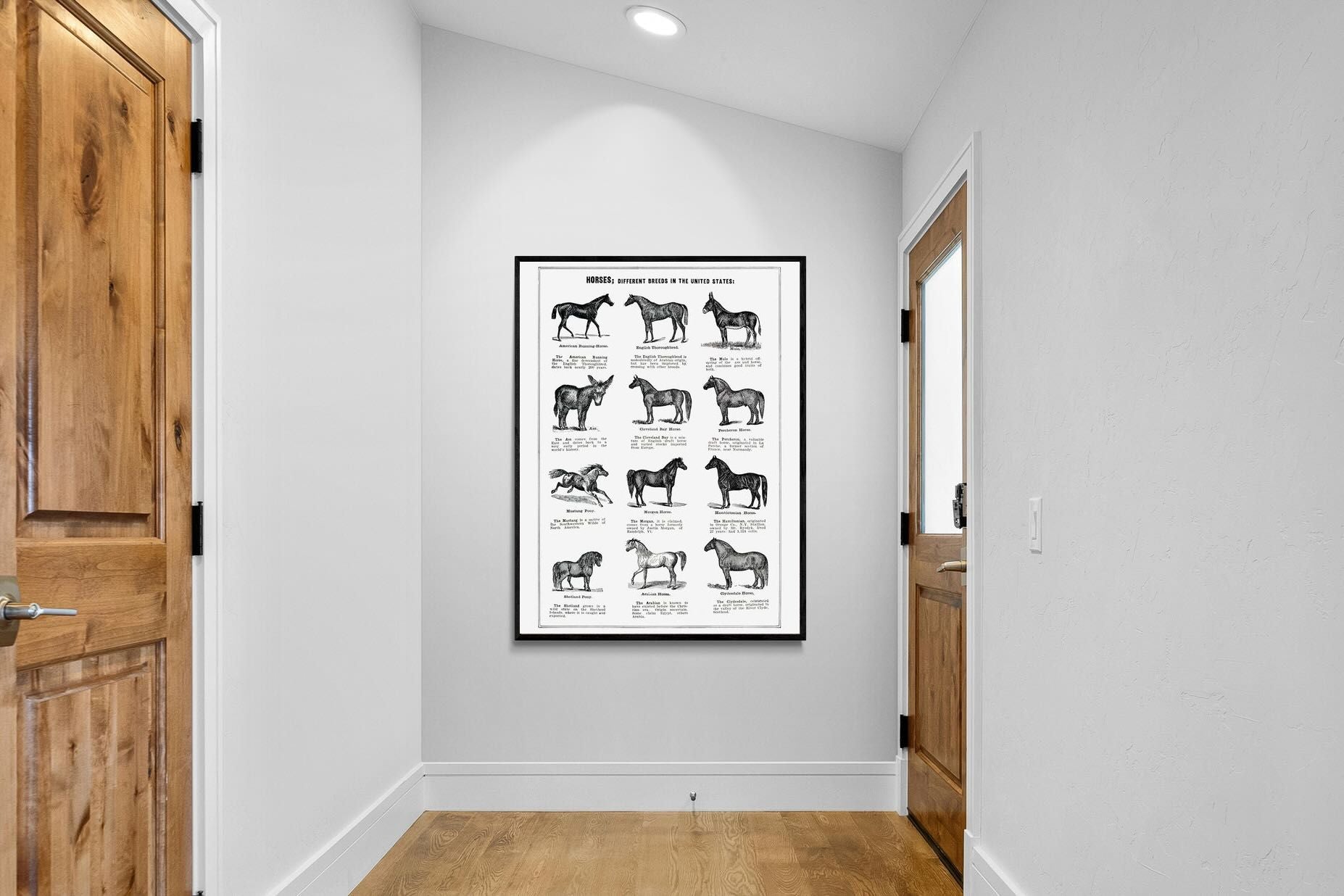 Pixalot Horse Breeds