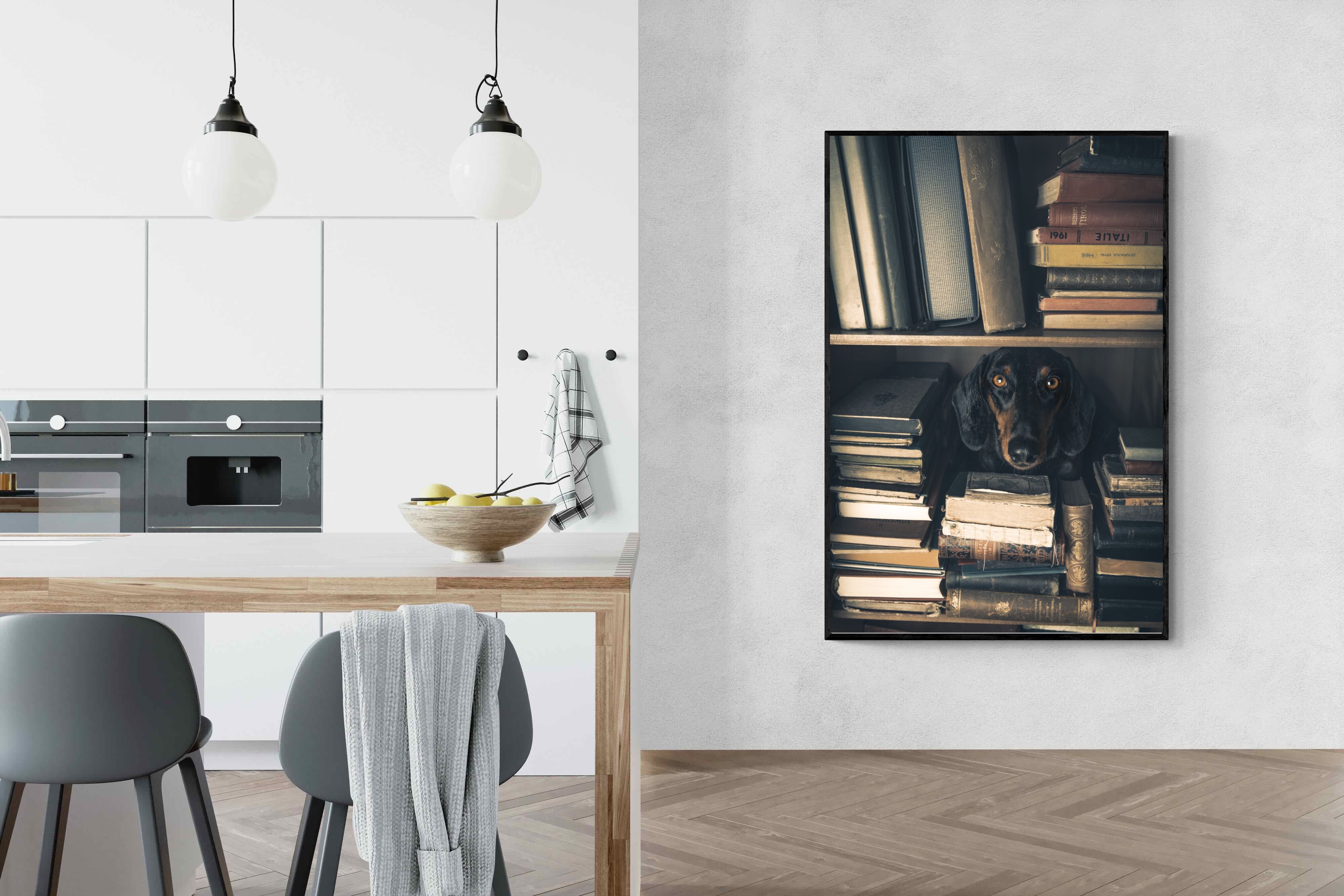 Pixalot Hound Among Books