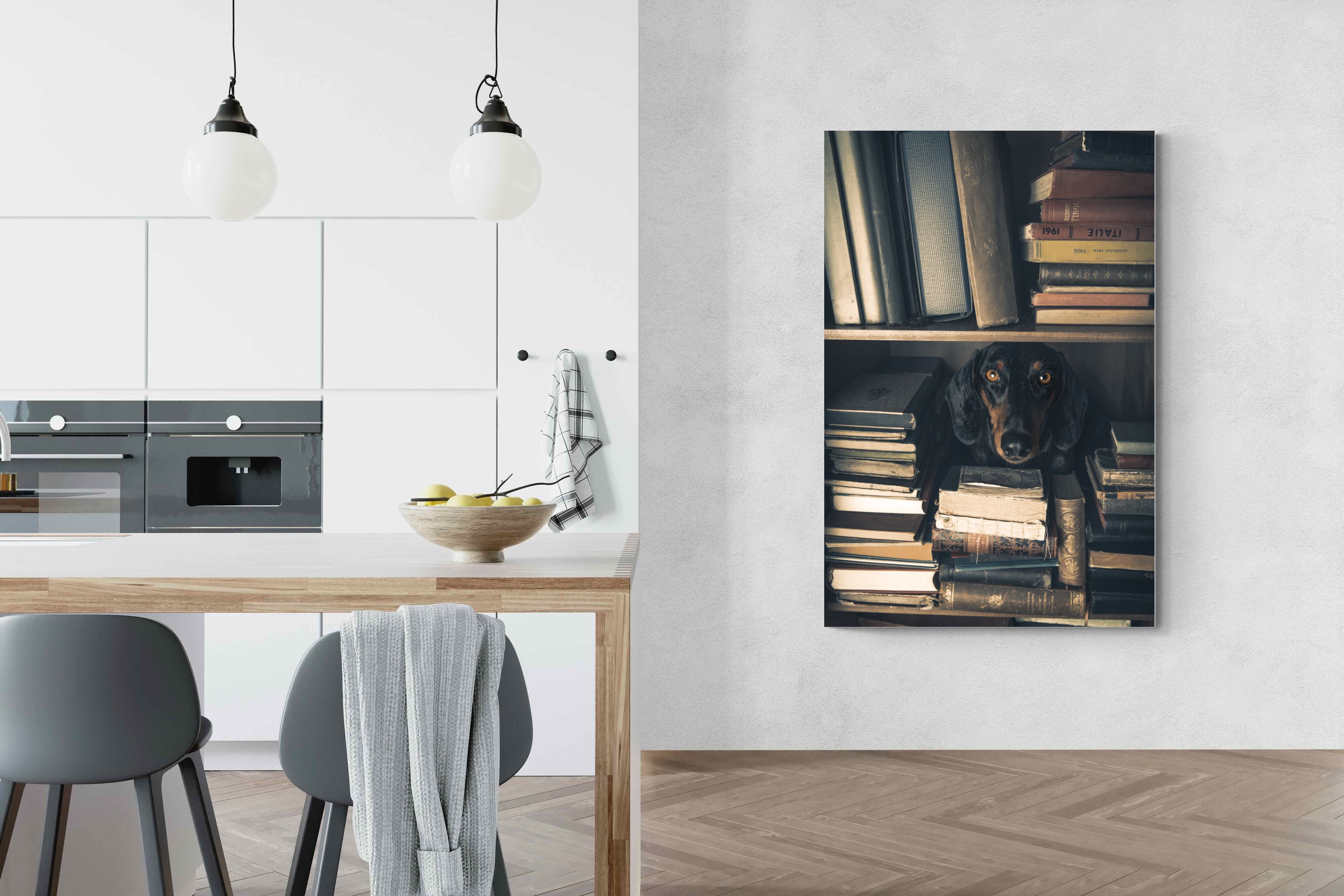 Pixalot Hound Among Books