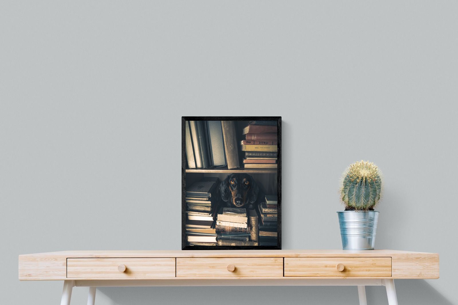 Pixalot Hound Among Books