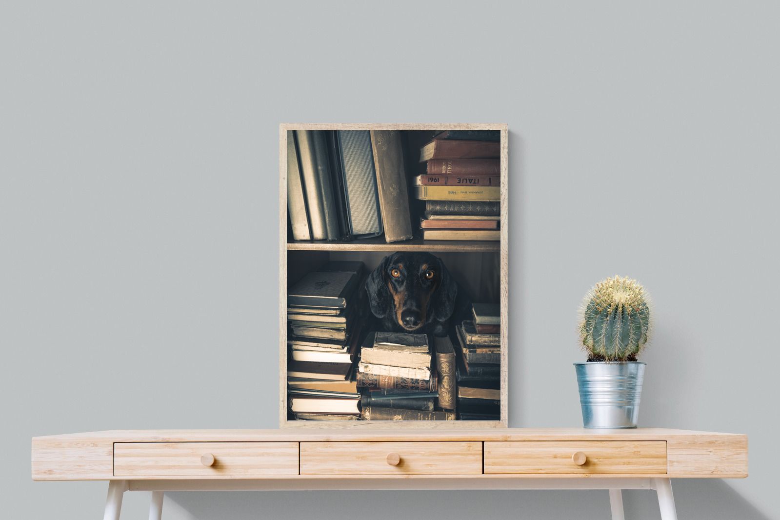 Pixalot Hound Among Books