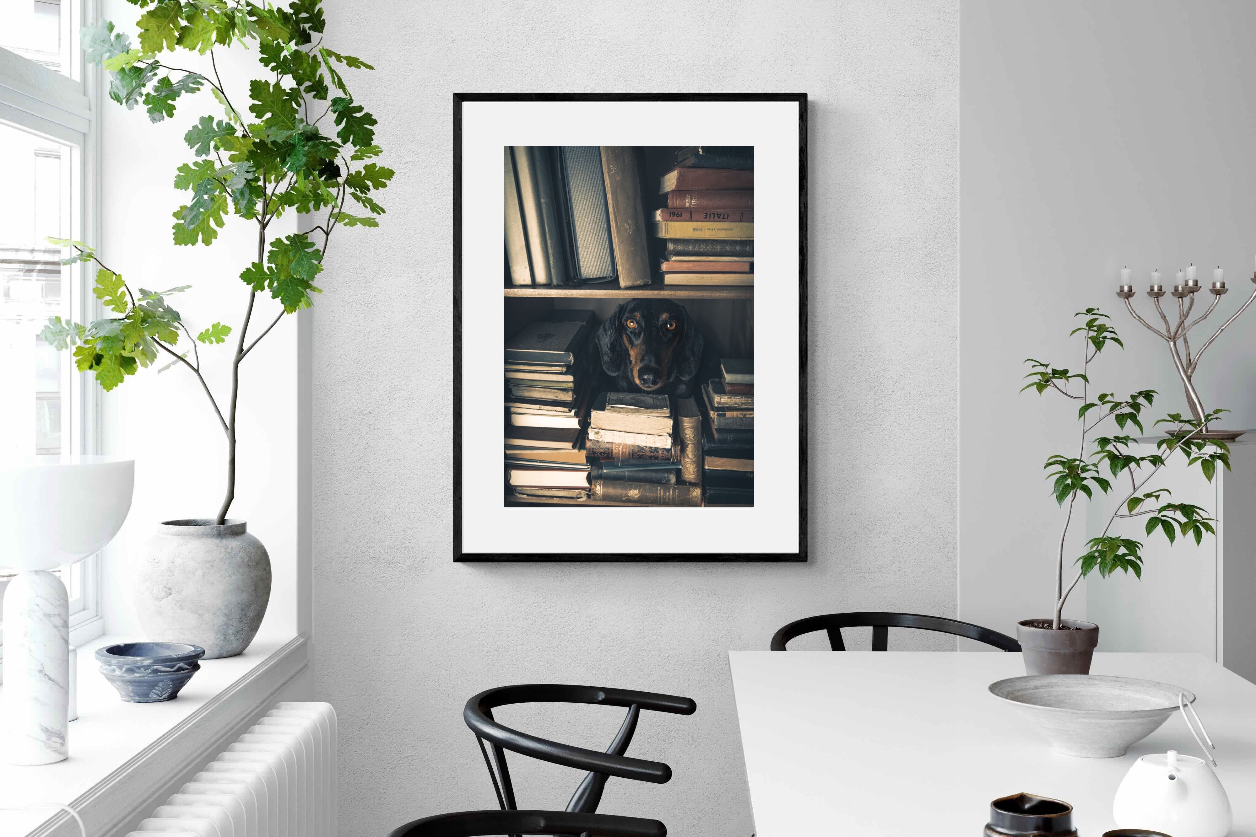 Pixalot Hound Among Books