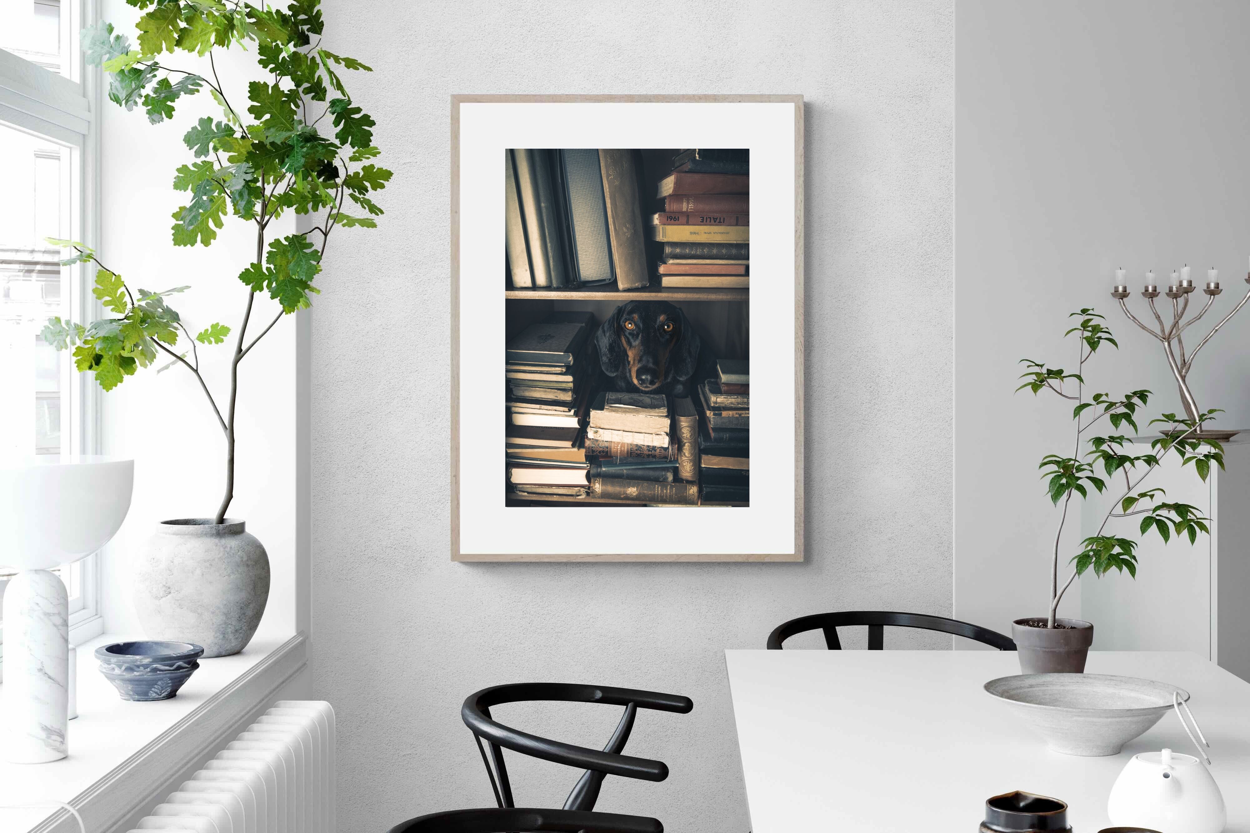 Pixalot Hound Among Books