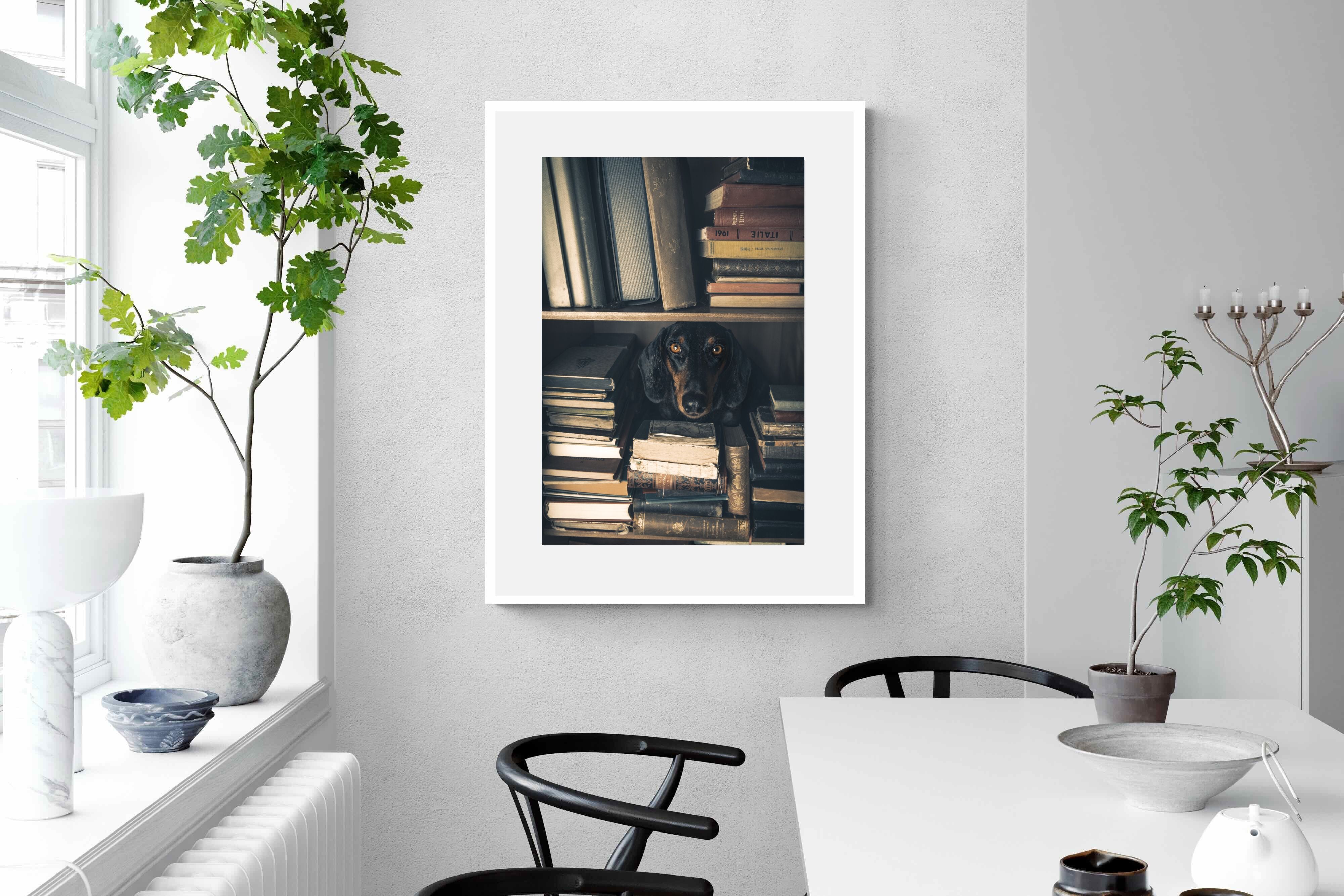 Pixalot Hound Among Books