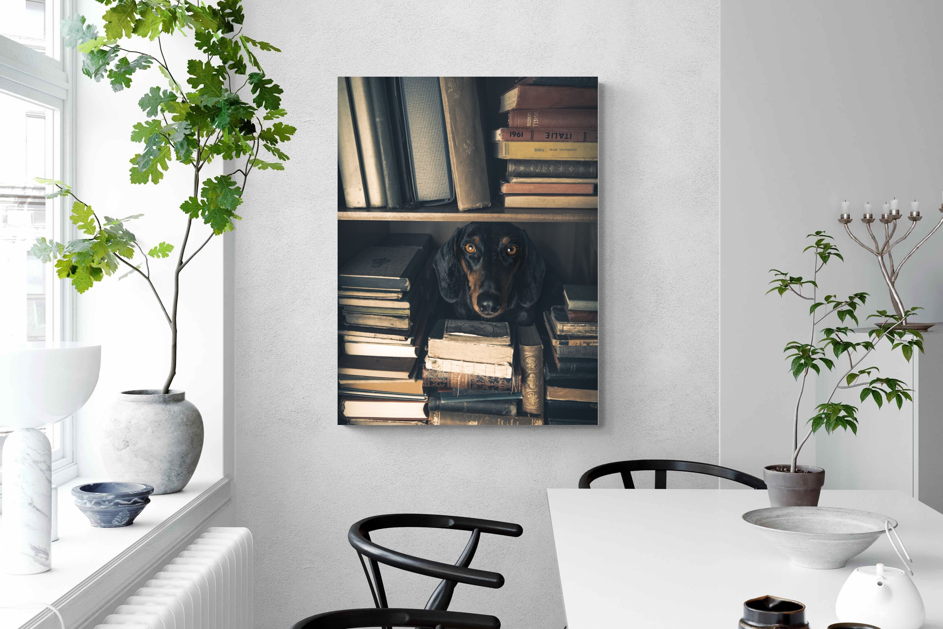 Pixalot Hound Among Books