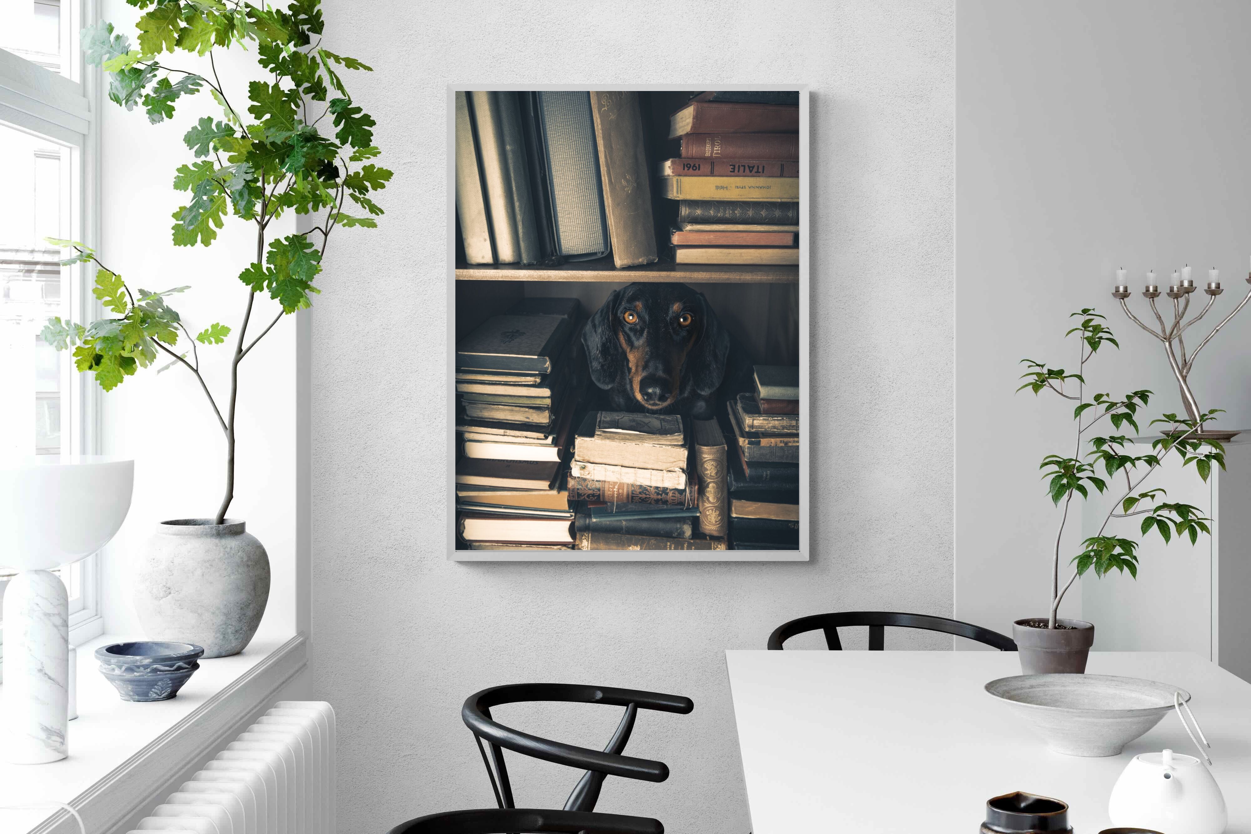 Pixalot Hound Among Books