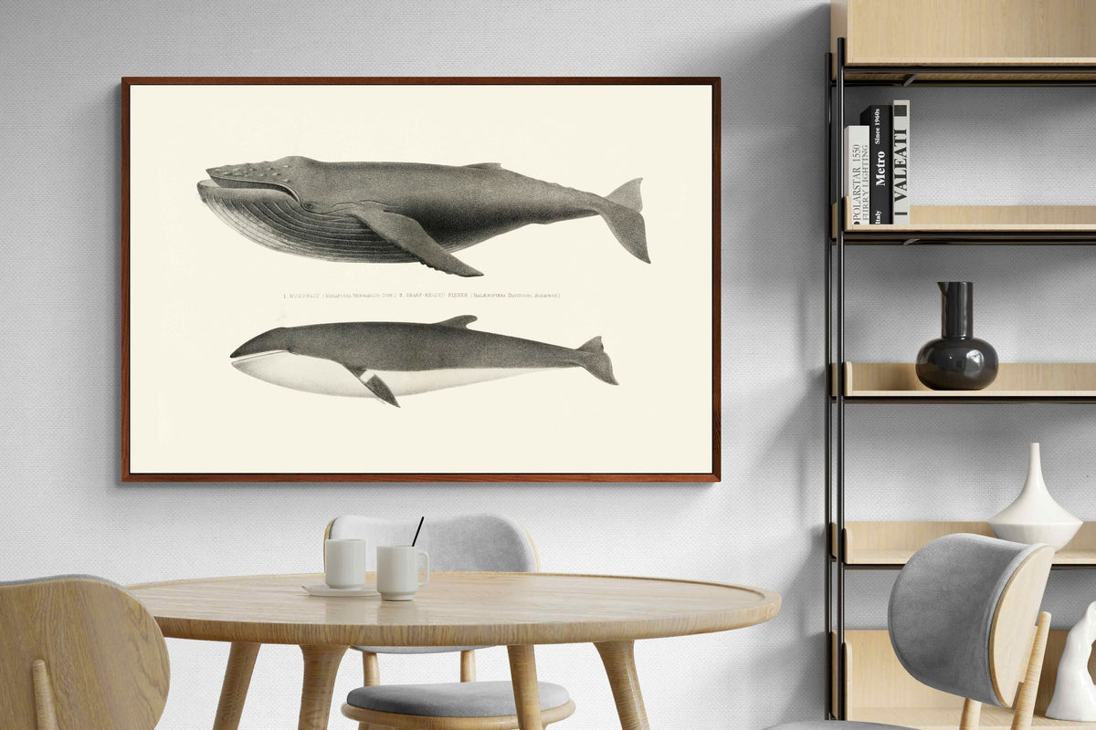 Pixalot ® Humpback & Minke Whales