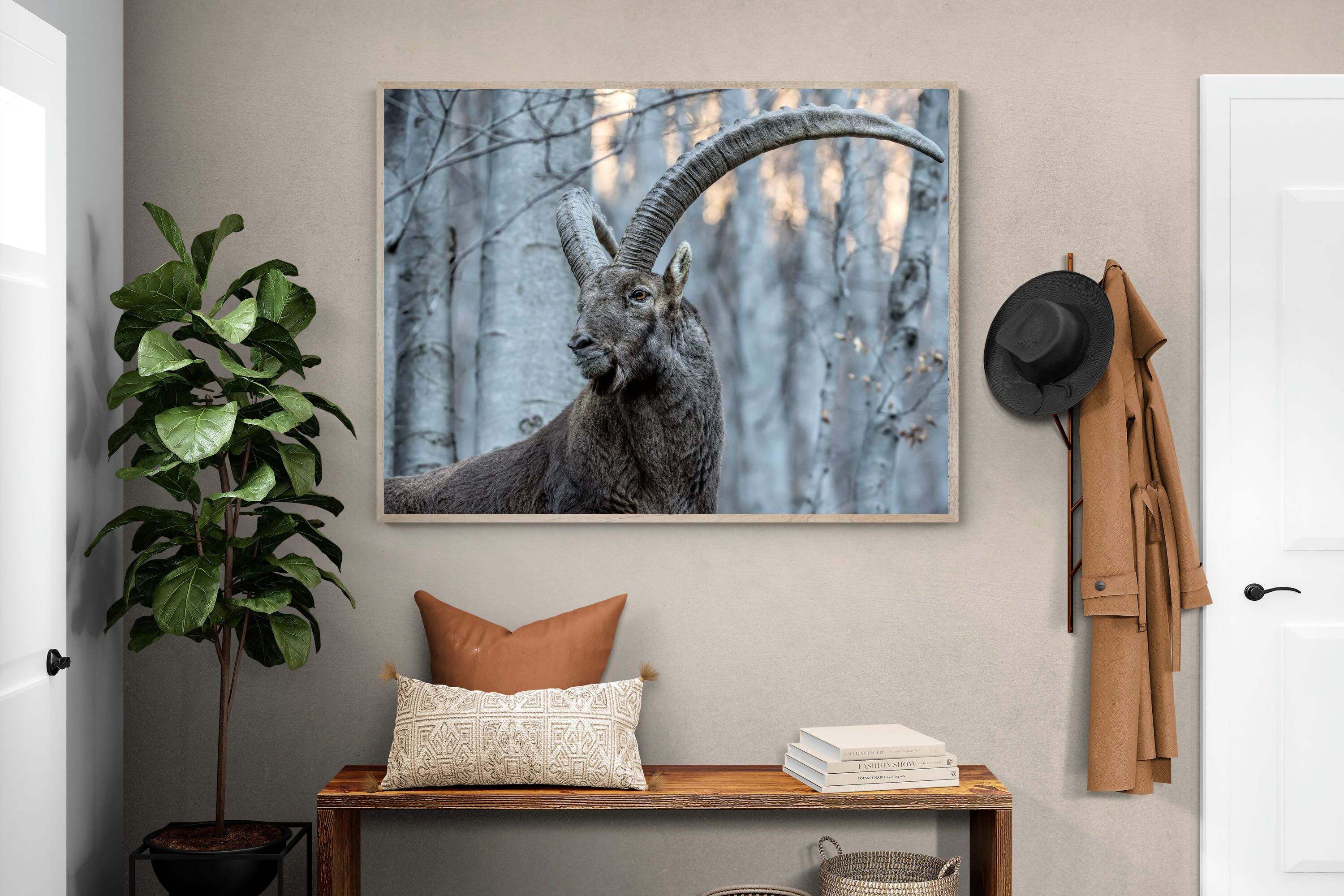 Pixalot Ibex