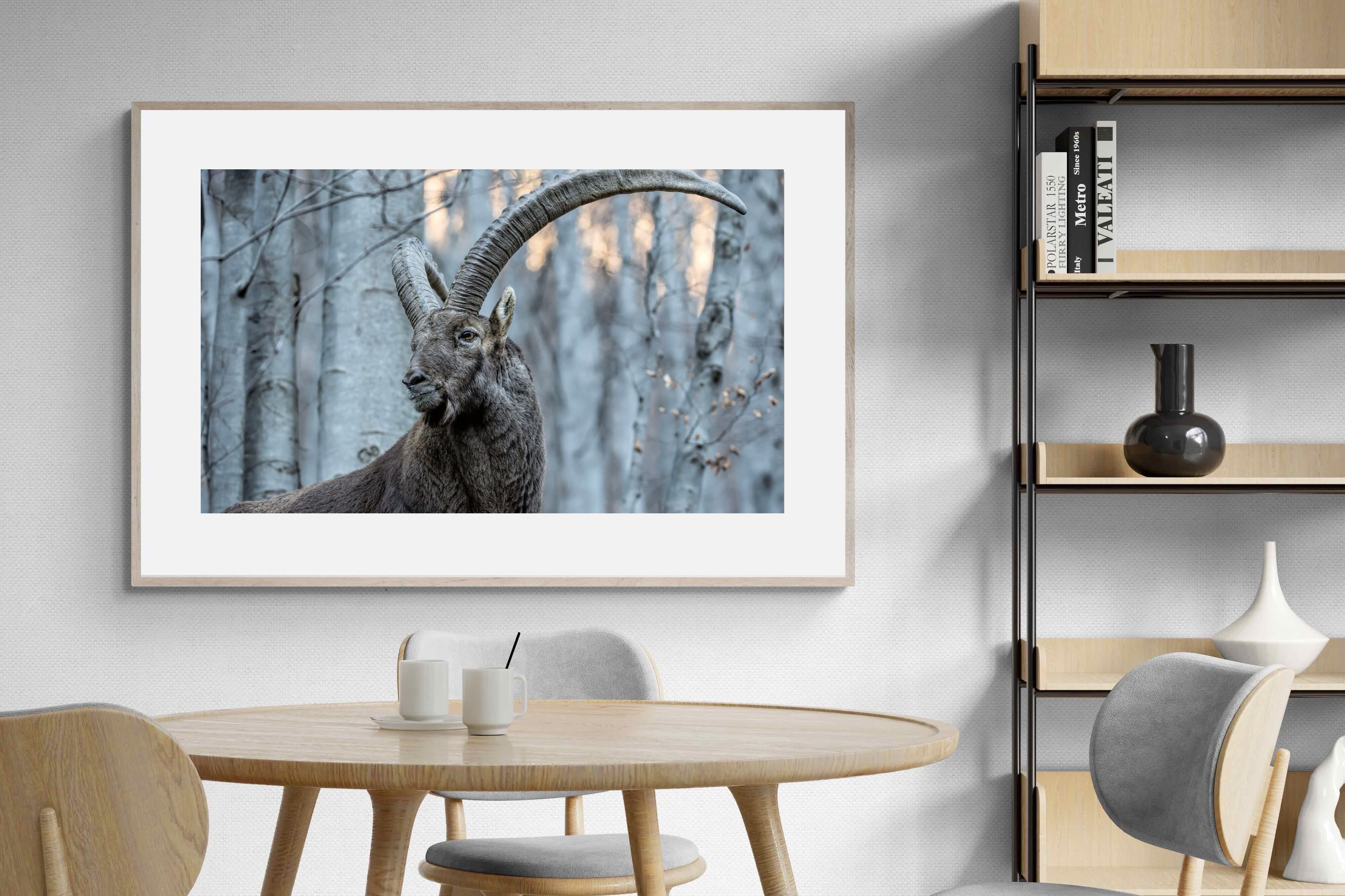 Pixalot Ibex