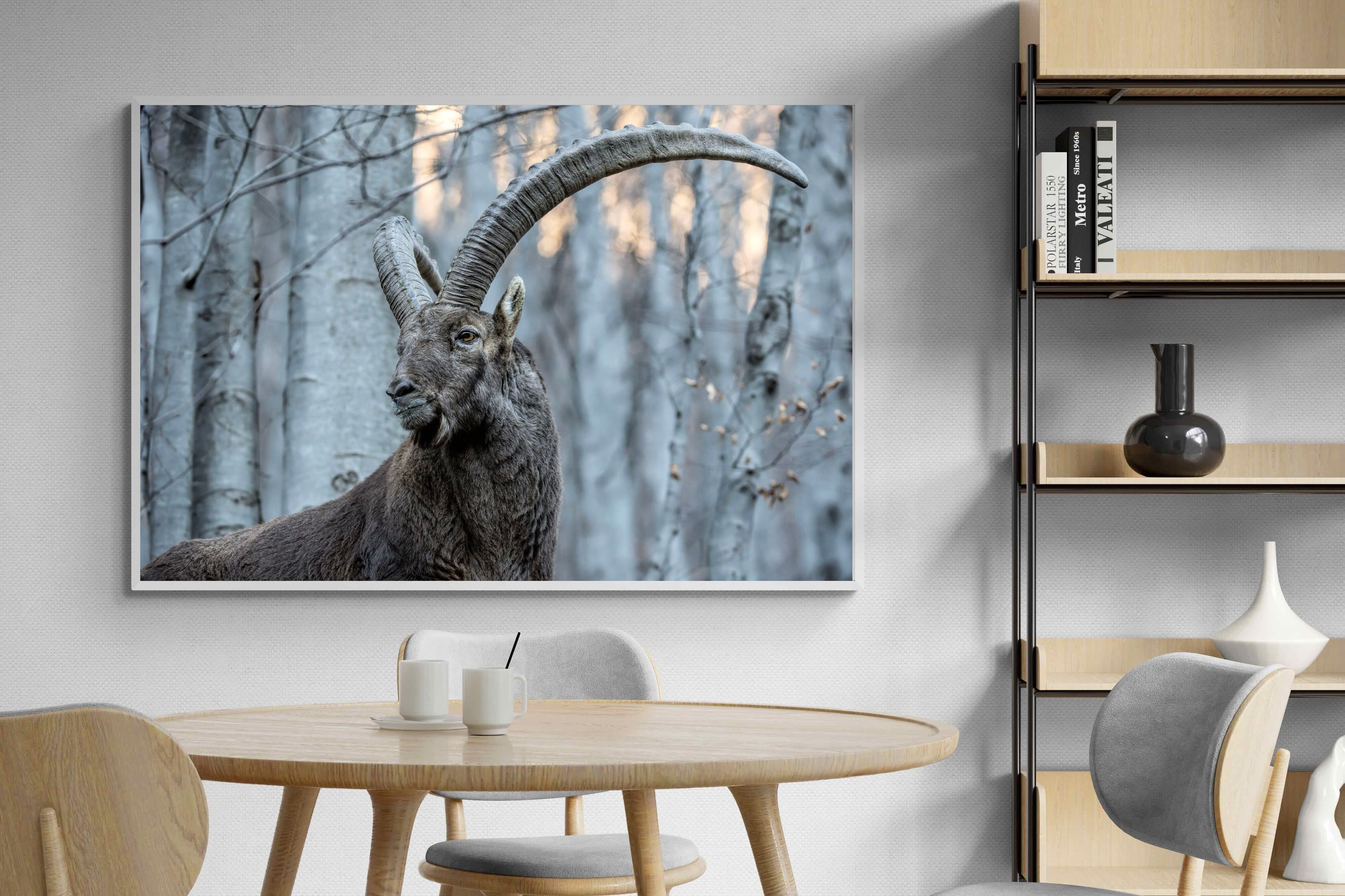 Pixalot Ibex